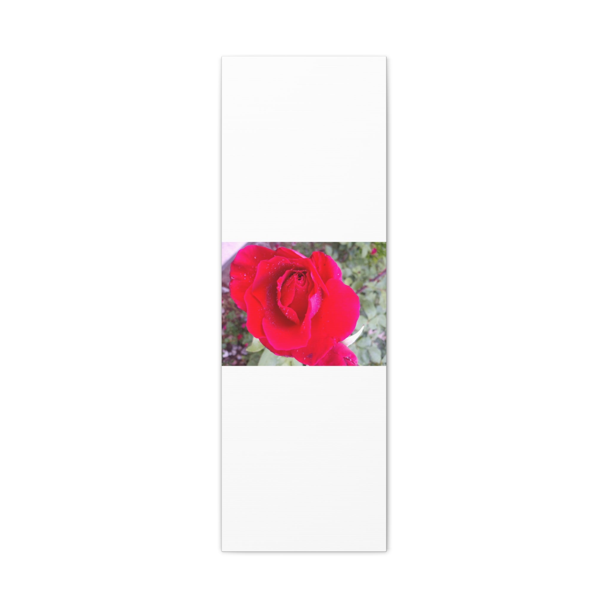 Vibrant Floral Canvas Art, Elegant Wall Decor, Perfect for Home, Gifts, Mother's Day, and Weddings