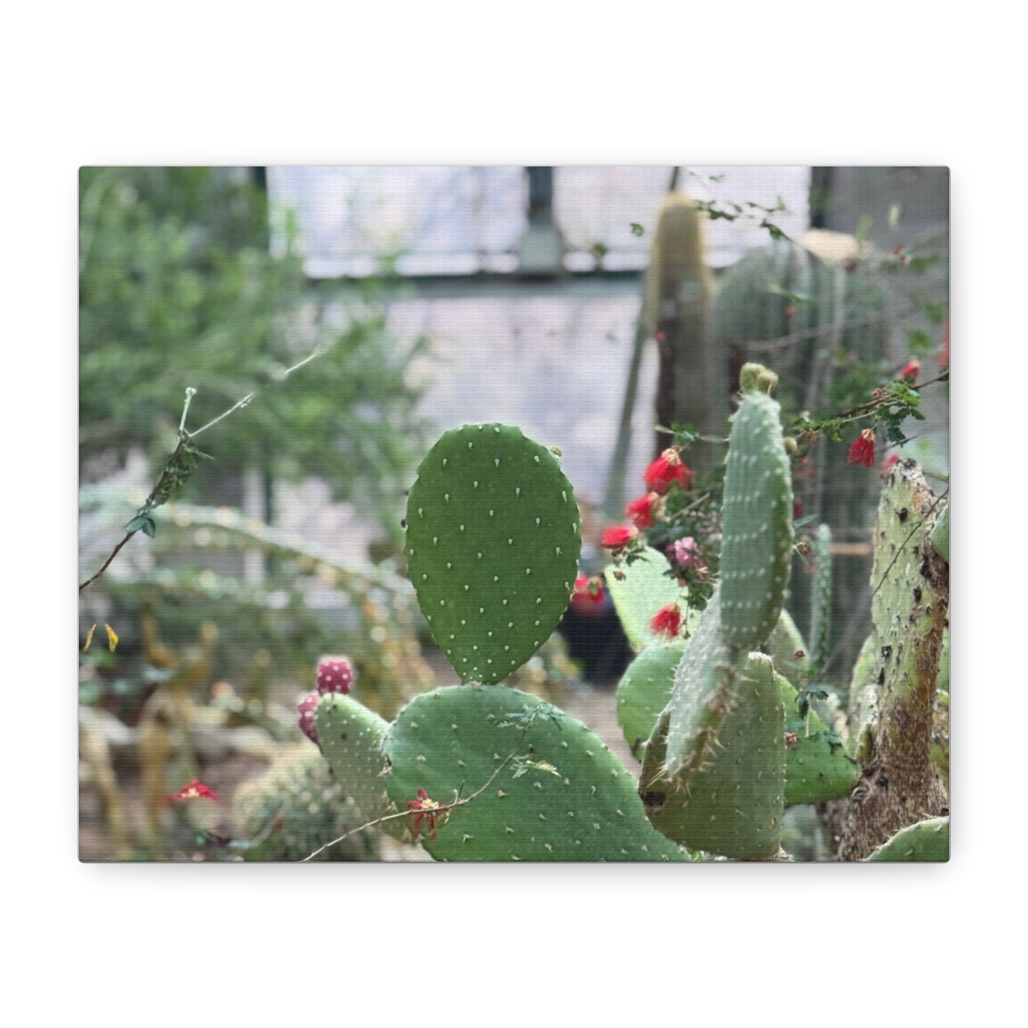 Cactus Matte Canvas Wall Art, Nature Decor, Southwestern Room Design, Green Plant Prints, Home and Office Wall Decor