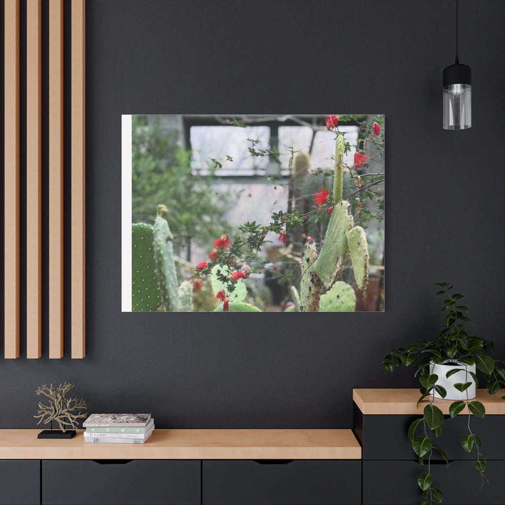 Cactus Wall Art Print, Nature Home Decor, Bohemian Style Artwork, Botanical Gift, Succulent Canvas