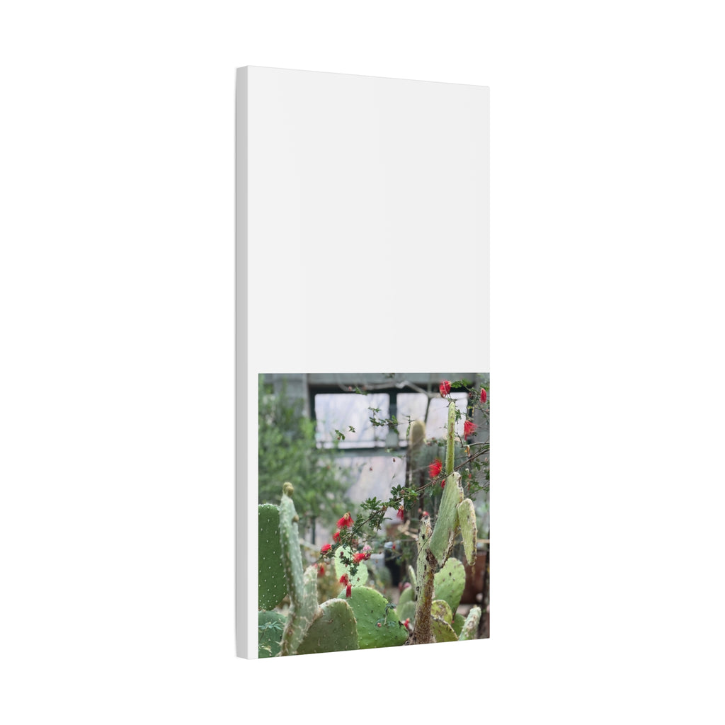 Cactus Wall Art Print, Nature Home Decor, Bohemian Style Artwork, Botanical Gift, Succulent Canvas