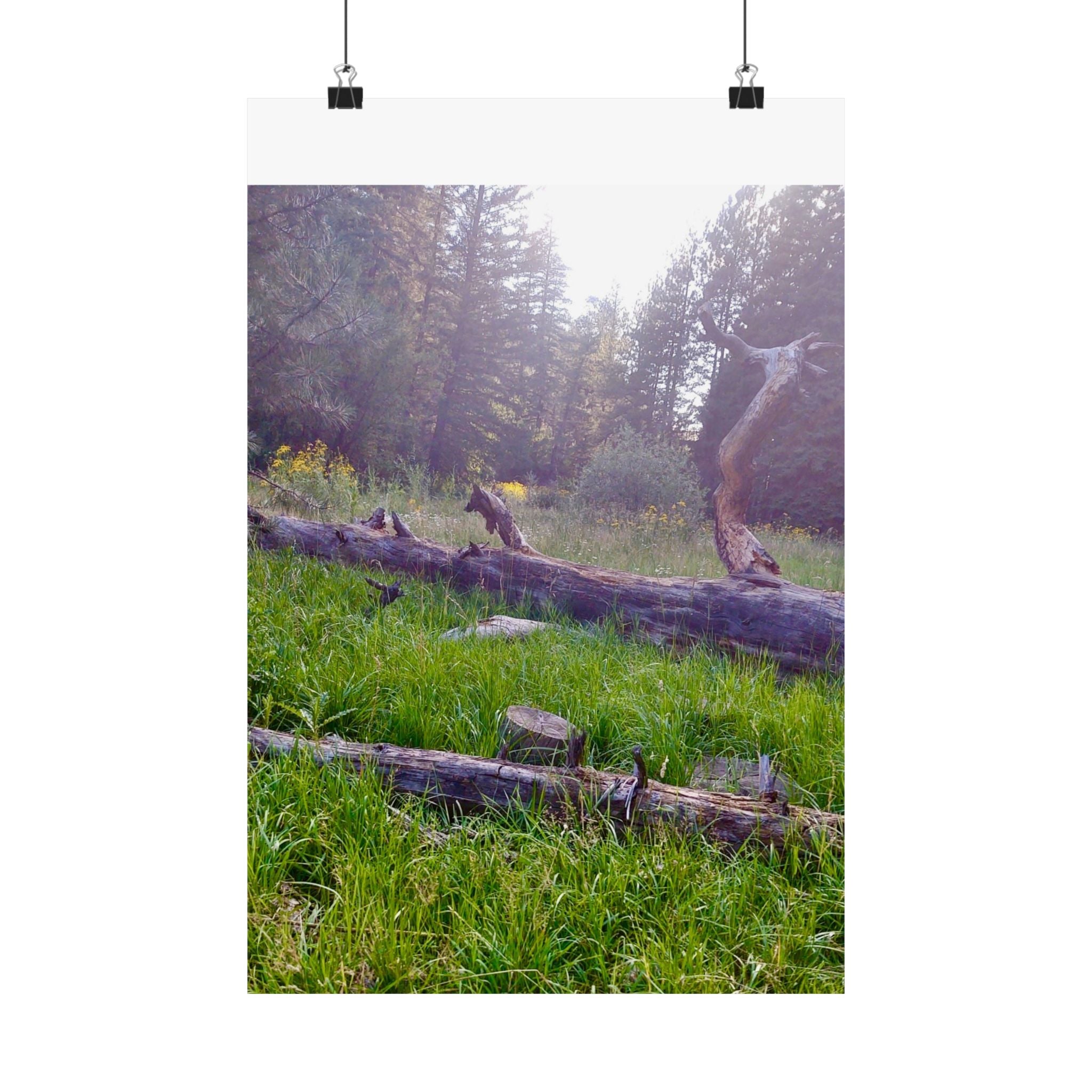 Nature-Inspired Matte Vertical Posters, Wall Art Decor, Forest Photo Prints, Home Aesthetic, Gift for Nature Lovers