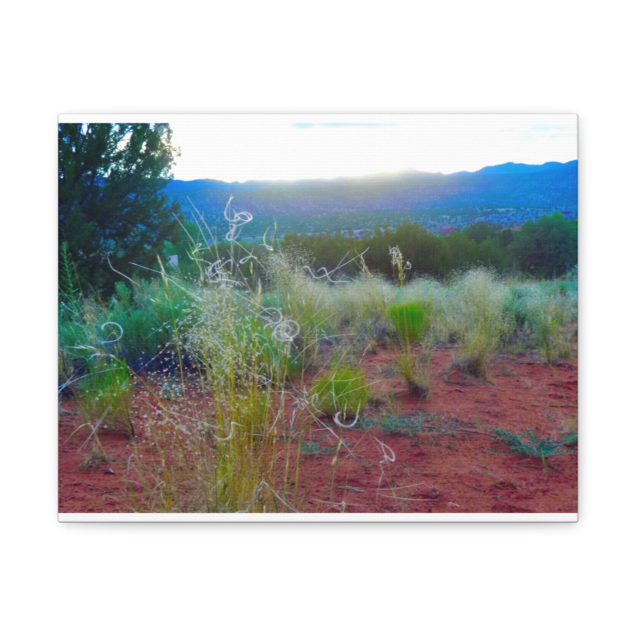 Stretched Canvas Art Print, Nature Wall Decor, Boho Home Decor, Rustic Landscape Art, Gift for Nature Lovers