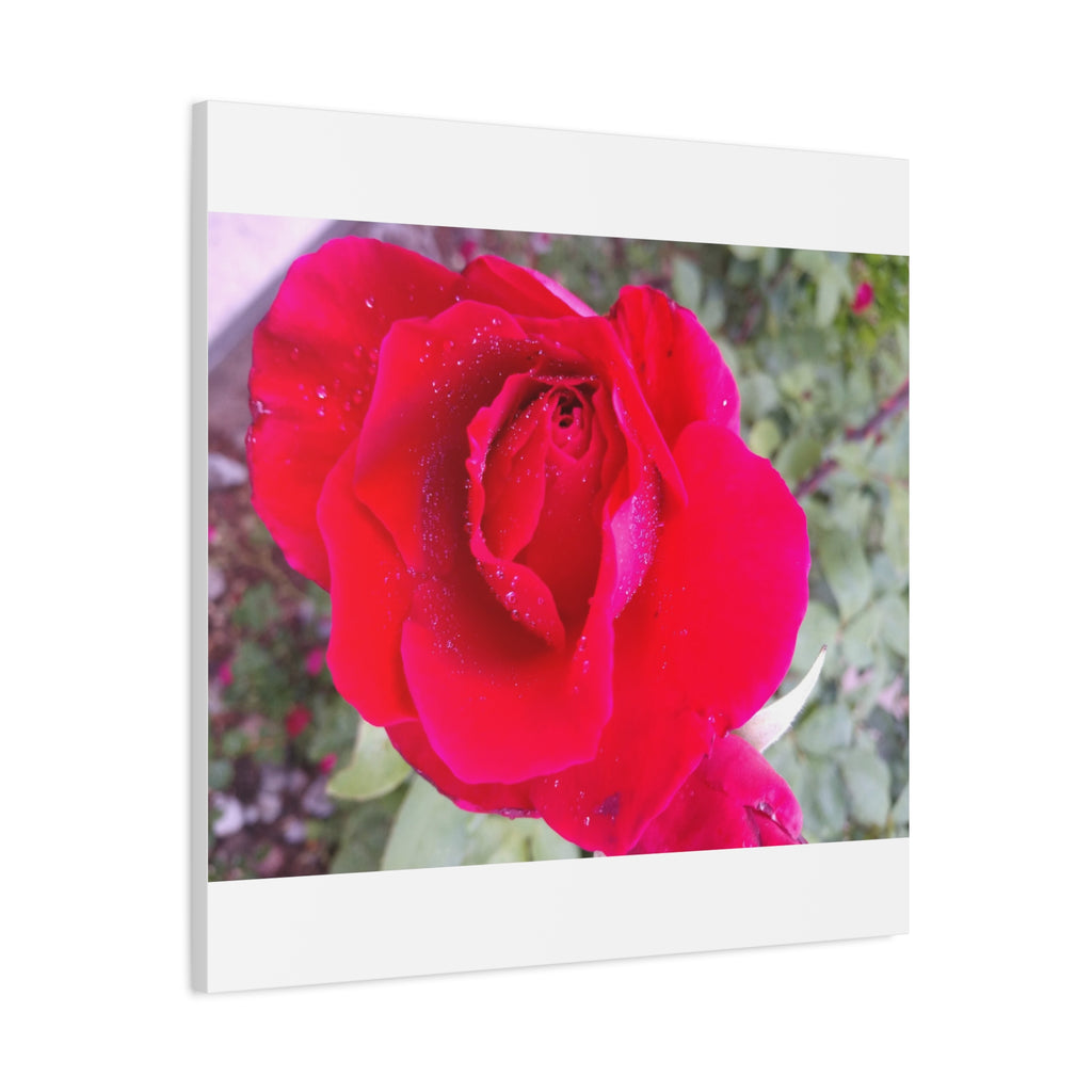 Vibrant Floral Canvas Art, Elegant Wall Decor, Perfect for Home, Gifts, Mother's Day, and Weddings
