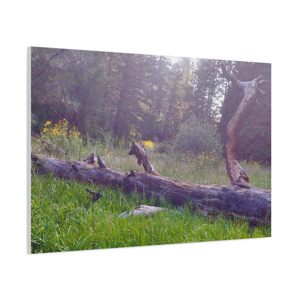 Matte Canvas Wall Art - Serene Nature Scene, Perfect for Home Decor, Gift for Nature Lovers, Office Wall Decoration, Rustic Art Print