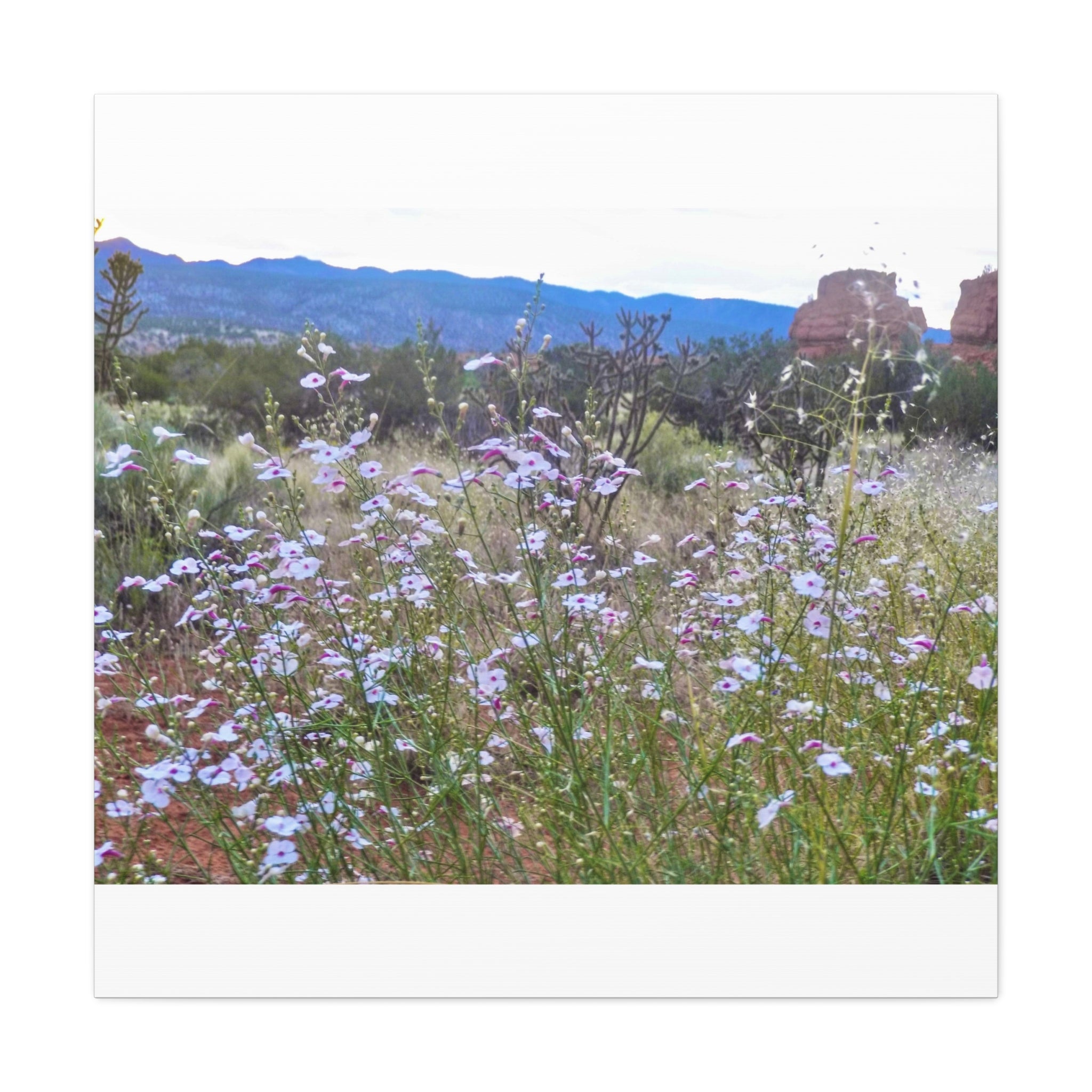 Floral Canvas Art Print, Nature Decor for Home, Wall Art for Office, Gift for Garden Lovers, Botanical Wall Decor, Spring Vibes