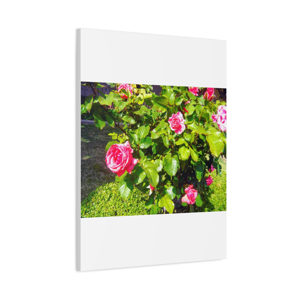 Floral Canvas Wall Art, Pink Rose Decor, Home Gallery Piece, Flower Photography, Garden Wall Decor, Floral Print
