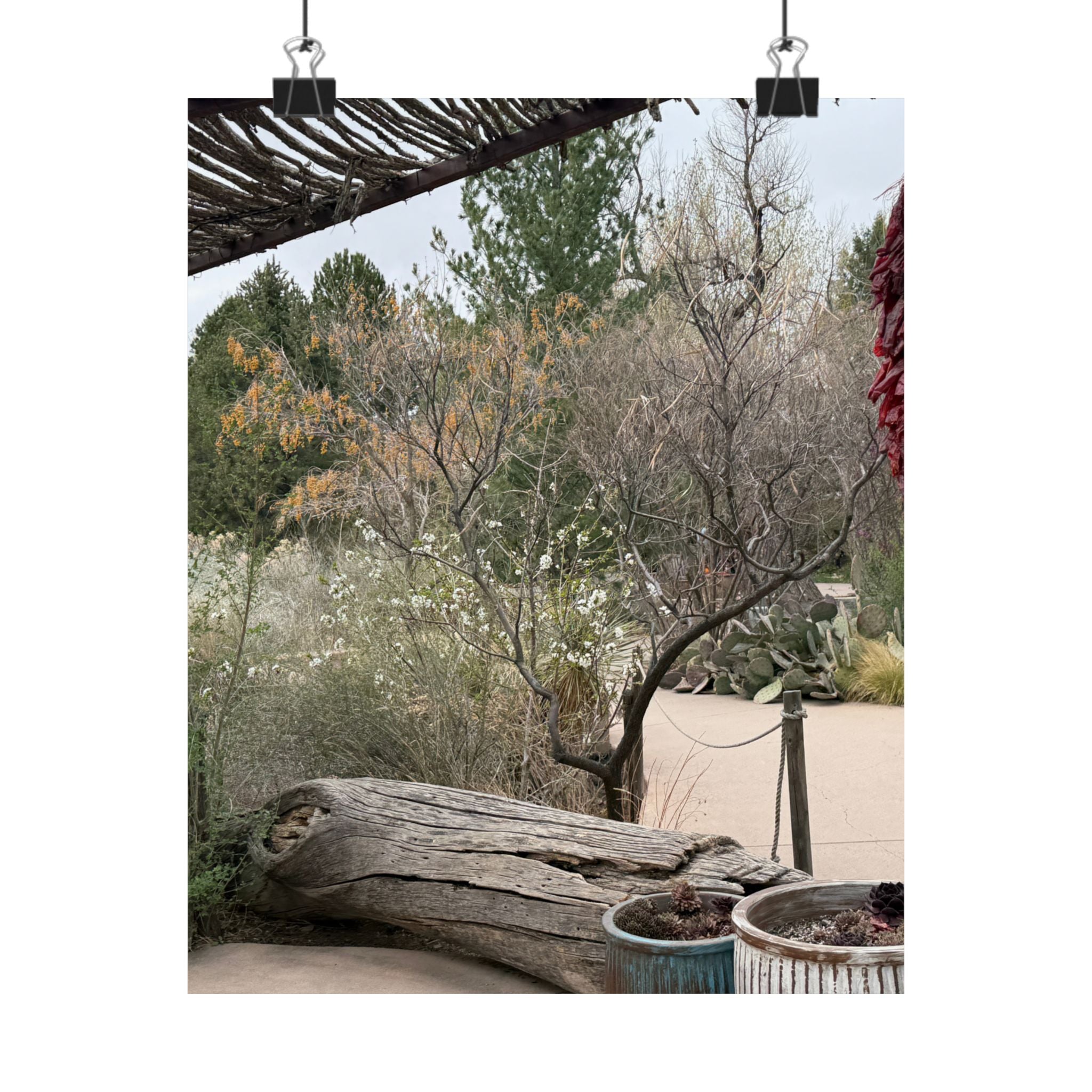 Matte Vertical Posters | Nature-Inspired Wall Art, Rustic Decor, Home Aesthetic, Gift for Nature Lovers, Bohemian Poster Prints