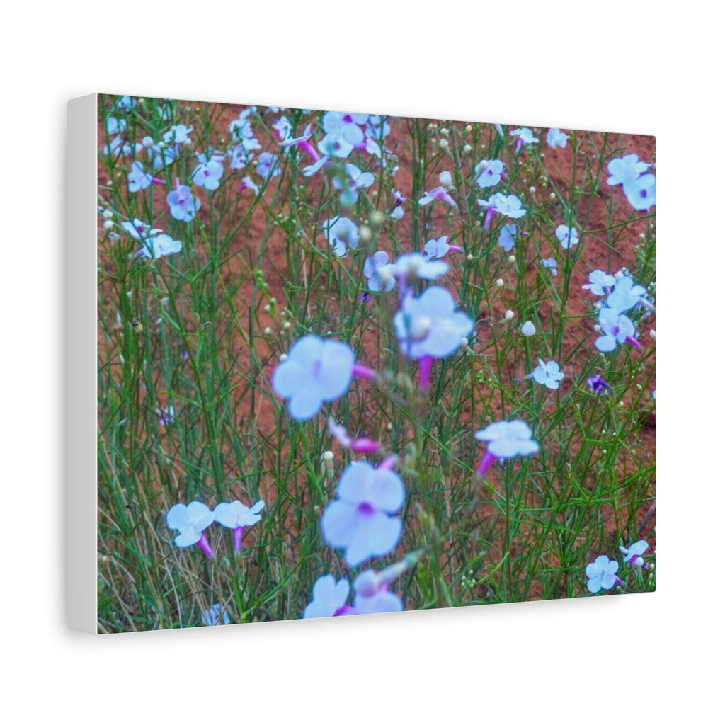 Floral Canvas Wall Art, Home Decor, Wall Hanging, Gift Idea, Nature Art, Flower Print
