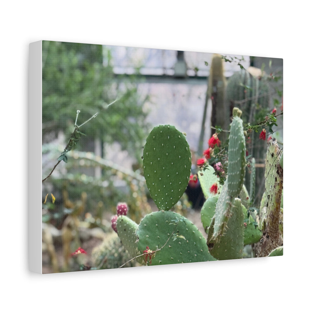 Cactus Matte Canvas Wall Art, Nature Decor, Southwestern Room Design, Green Plant Prints, Home and Office Wall Decor