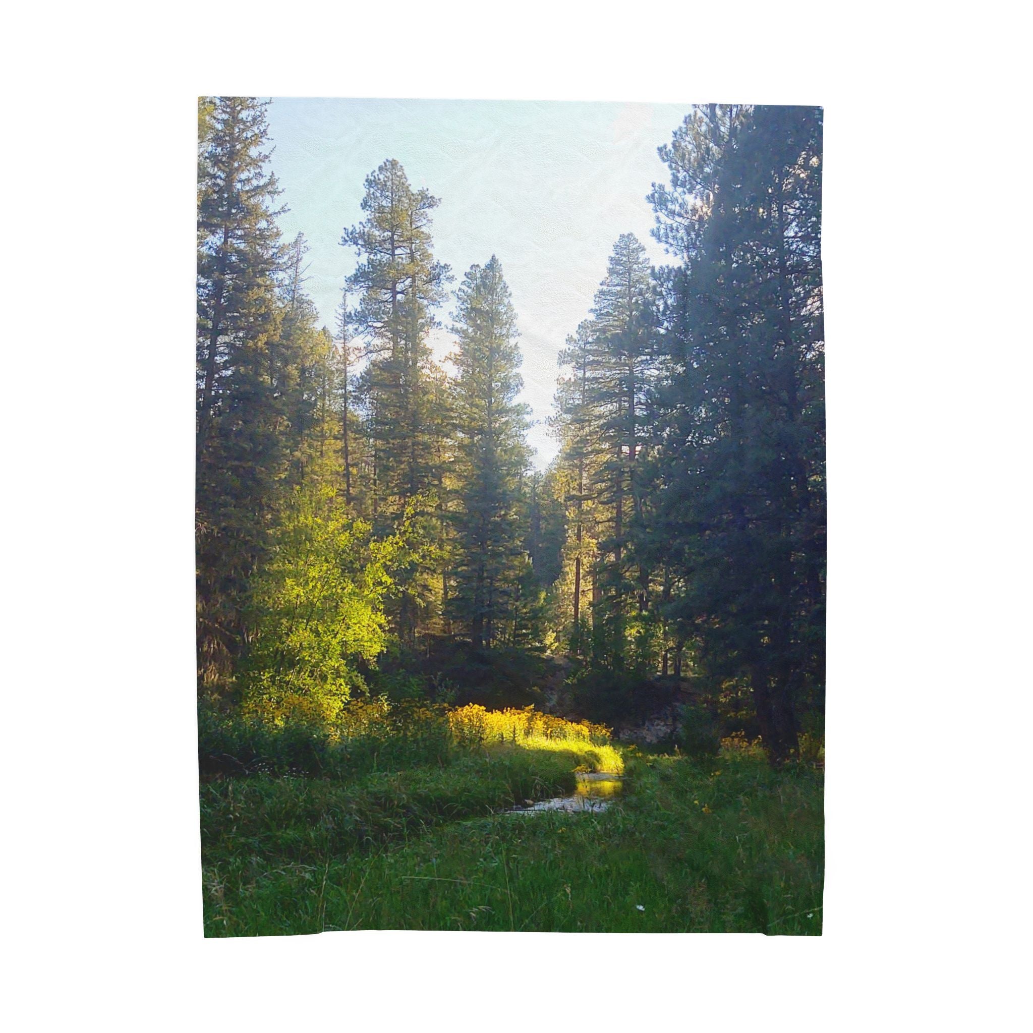 Nature-Inspired Velveteen Plush Blanket, Cozy Throw Blanket, Soft Bedroom Decor, Outdoor Vibes, Perfect Gift for Nature Lovers