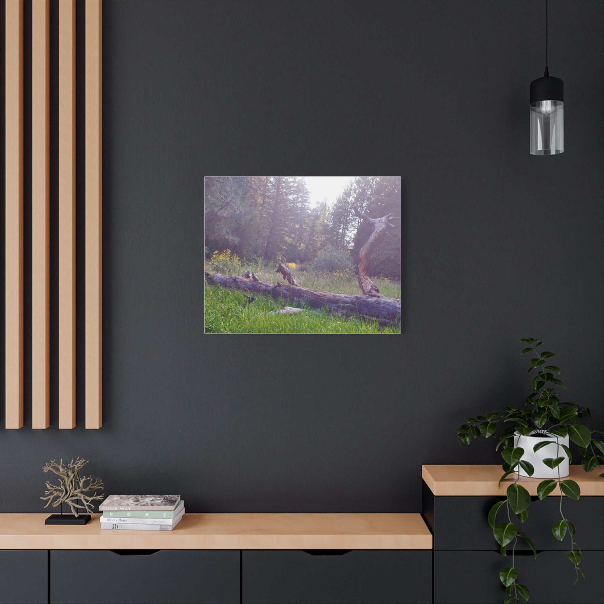Matte Canvas Wall Art - Serene Nature Scene, Perfect for Home Decor, Gift for Nature Lovers, Office Wall Decoration, Rustic Art Print