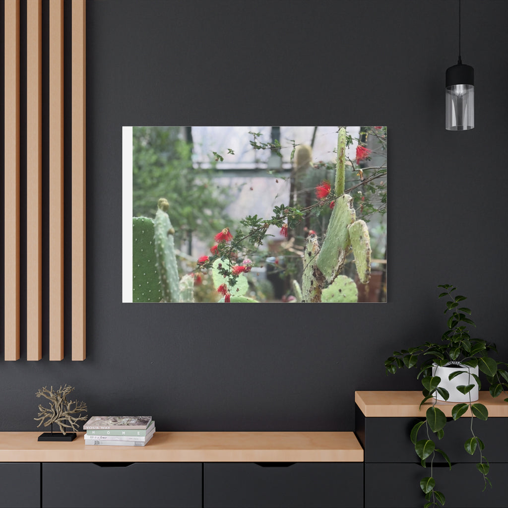 Cactus Wall Art Print, Nature Home Decor, Bohemian Style Artwork, Botanical Gift, Succulent Canvas