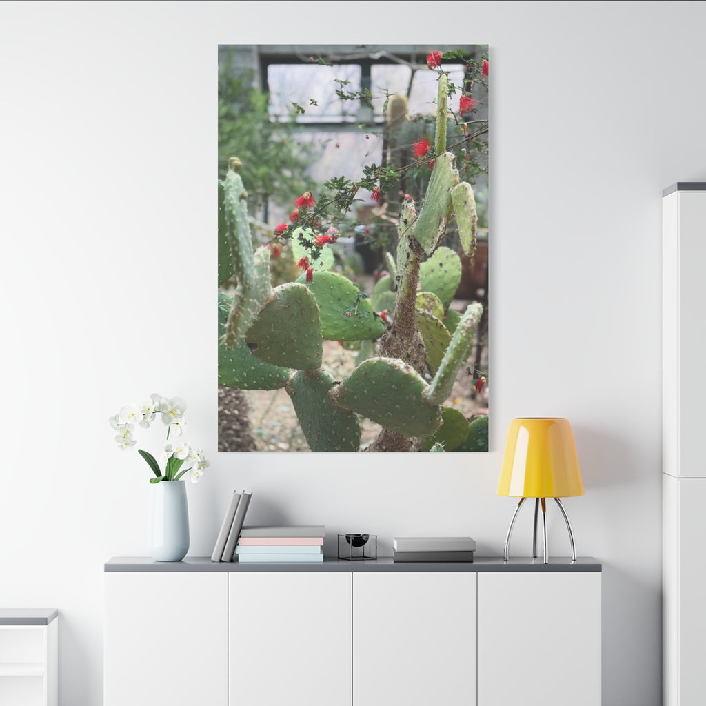Cactus Artwork Print, Botanical Wall Decor, Succulent Canvas, Nature Lover Gift, Home Decoration