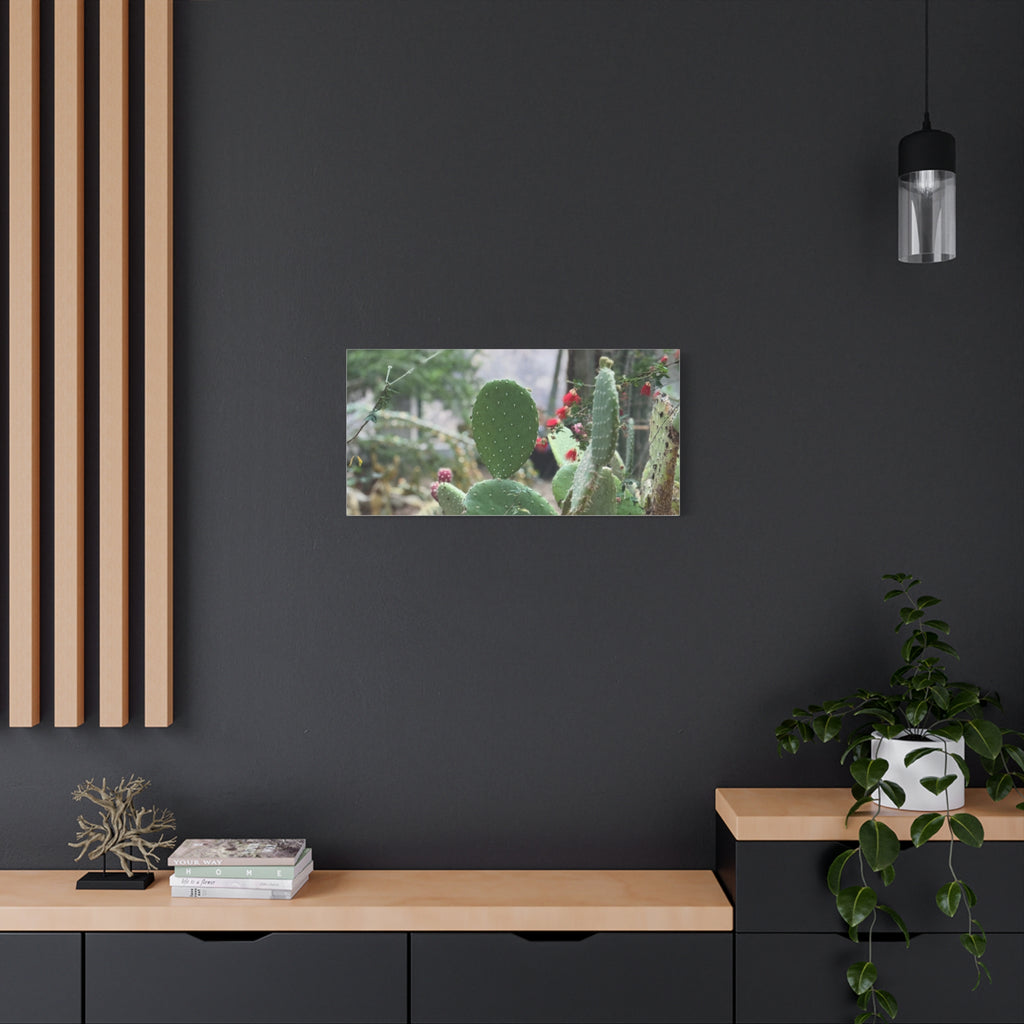 Cactus Matte Canvas Wall Art, Nature Decor, Southwestern Room Design, Green Plant Prints, Home and Office Wall Decor