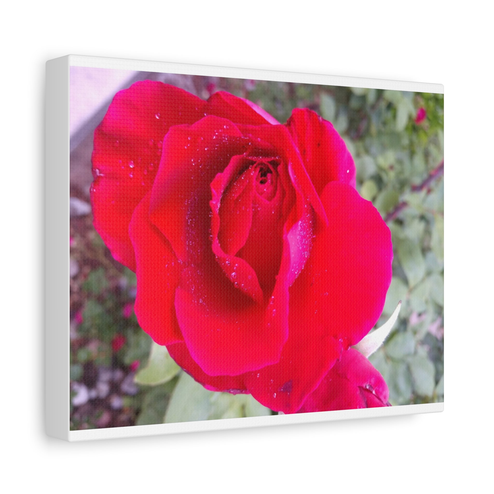 Vibrant Floral Canvas Art, Elegant Wall Decor, Perfect for Home, Gifts, Mother's Day, and Weddings