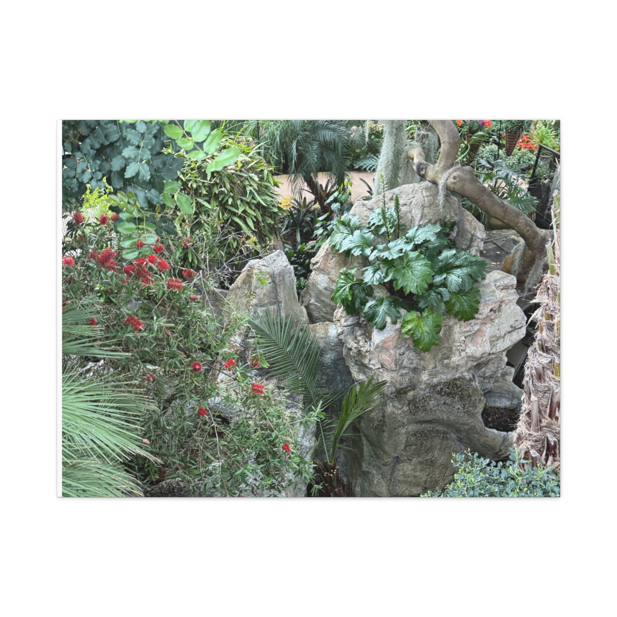 Nature-Inspired Wall Art, Canvas Print, Botanical Decor for Home, Greenery Art, Gift for Nature Lovers, Eco-Friendly Decoration