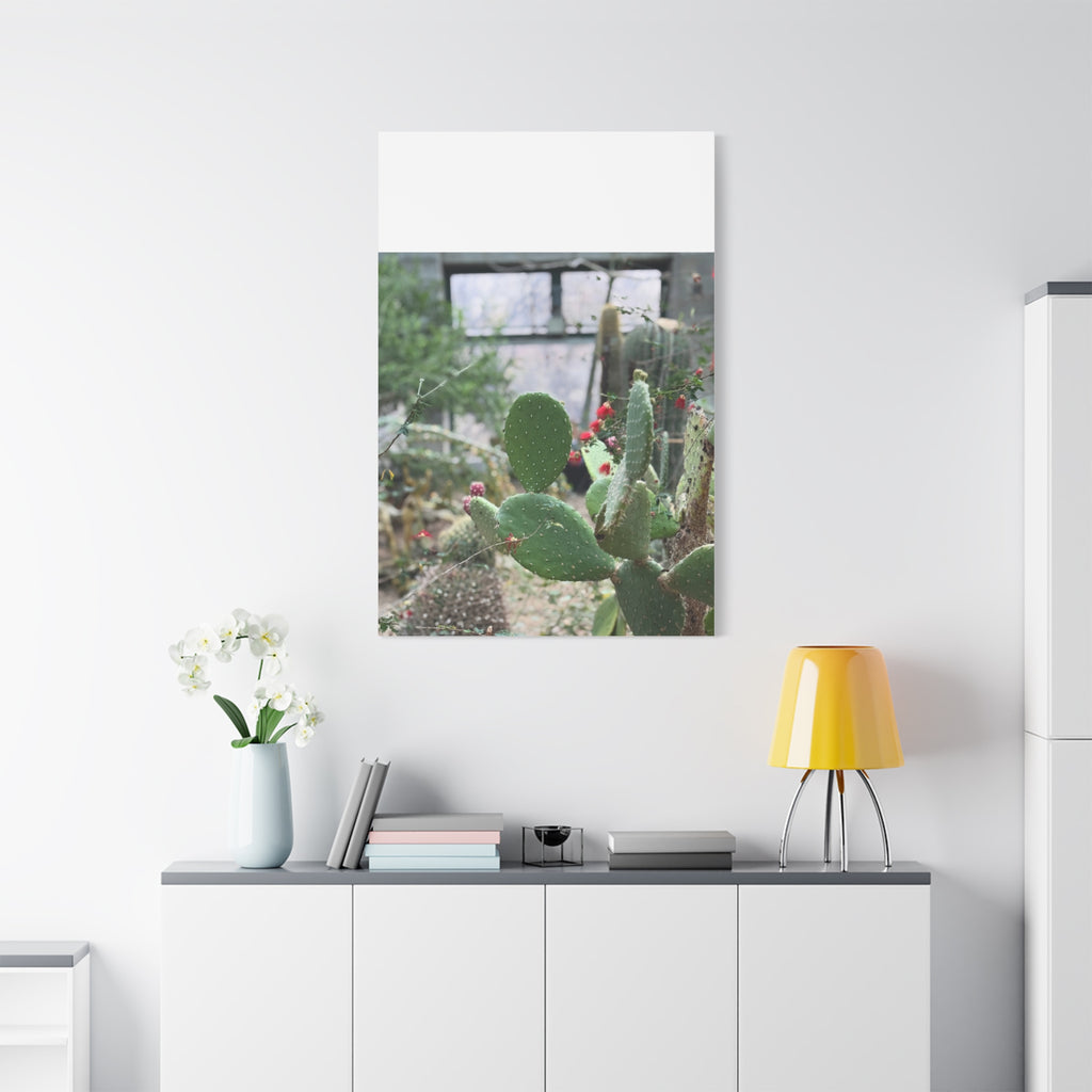 Cactus Matte Canvas Wall Art, Nature Decor, Southwestern Room Design, Green Plant Prints, Home and Office Wall Decor