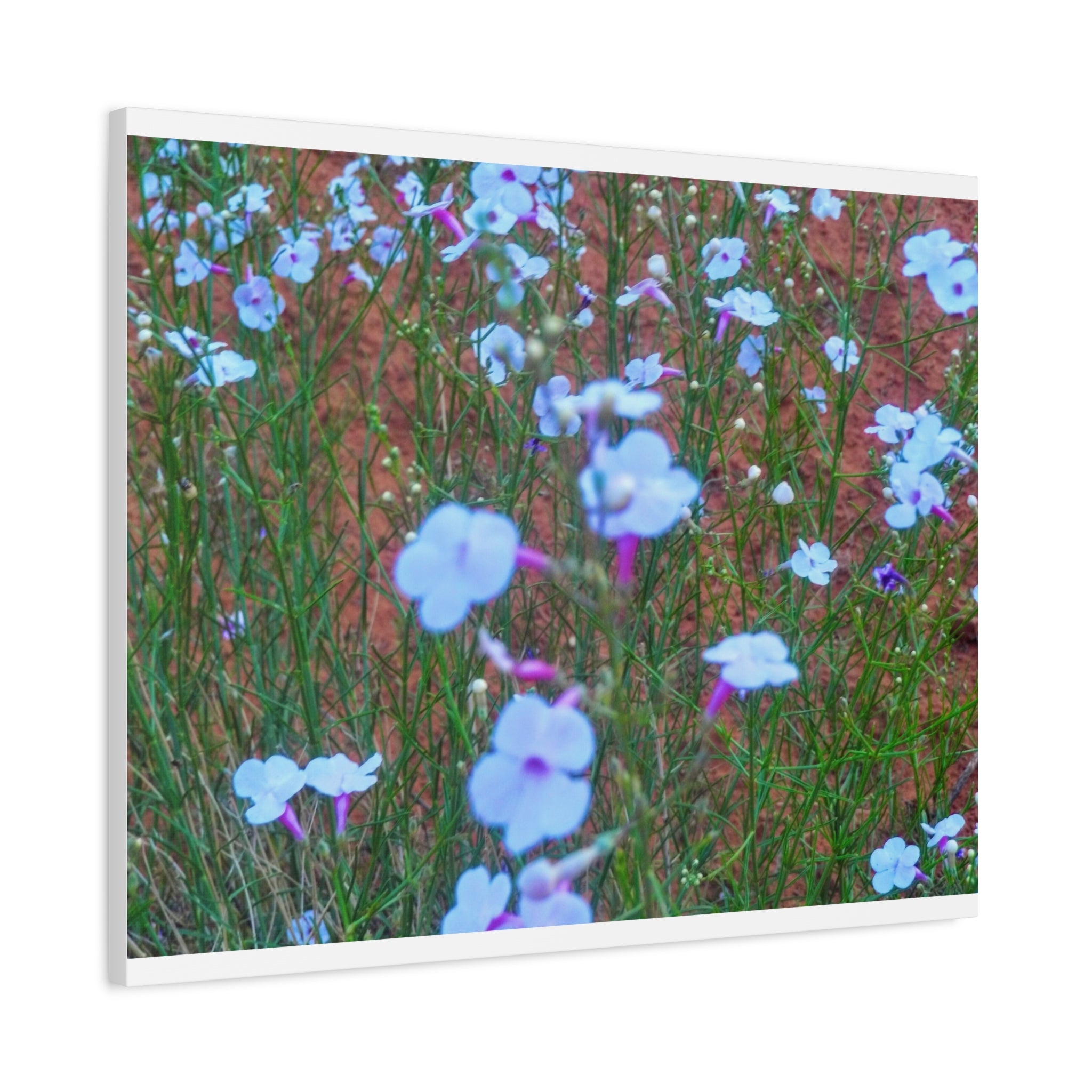 Floral Canvas Wall Art, Home Decor, Wall Hanging, Gift Idea, Nature Art, Flower Print