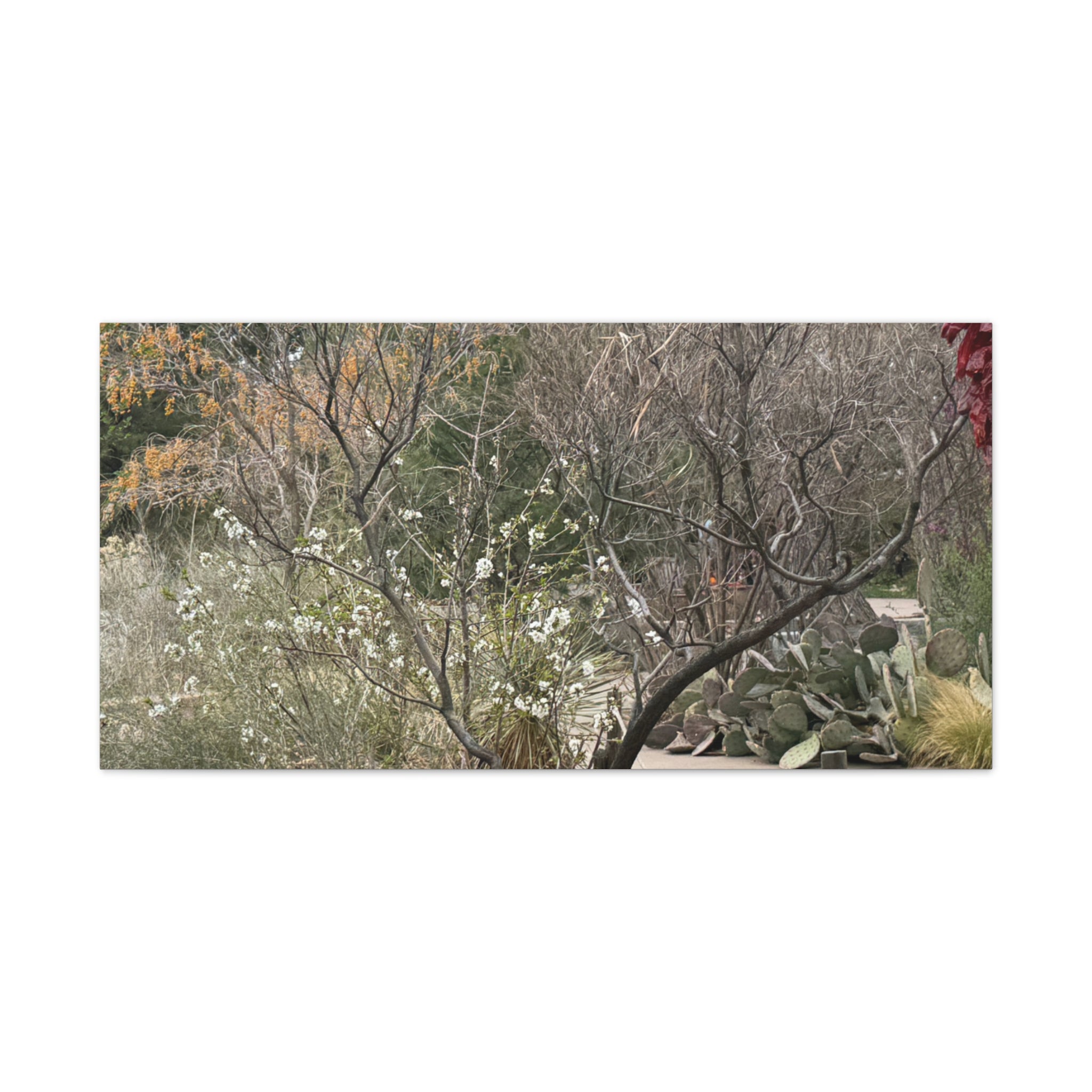 Classic Canvas Art Print, Bohemian Decor, Nature Wall Art, Home Gallery, Rustic Wall Decoration