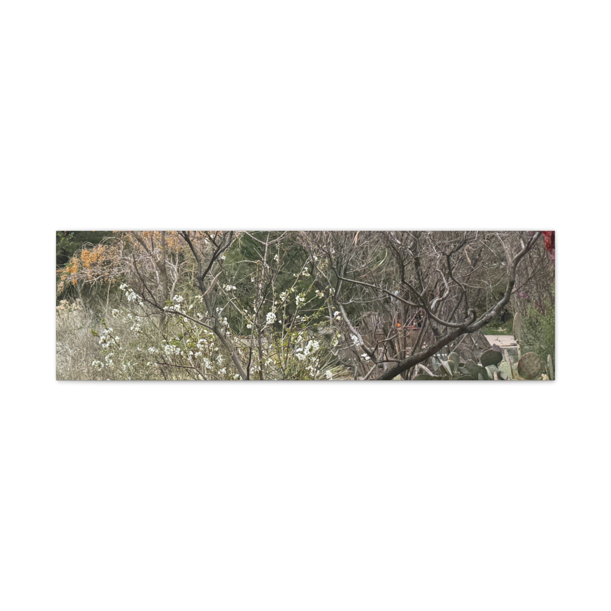 Classic Canvas Art Print, Bohemian Decor, Nature Wall Art, Home Gallery, Rustic Wall Decoration