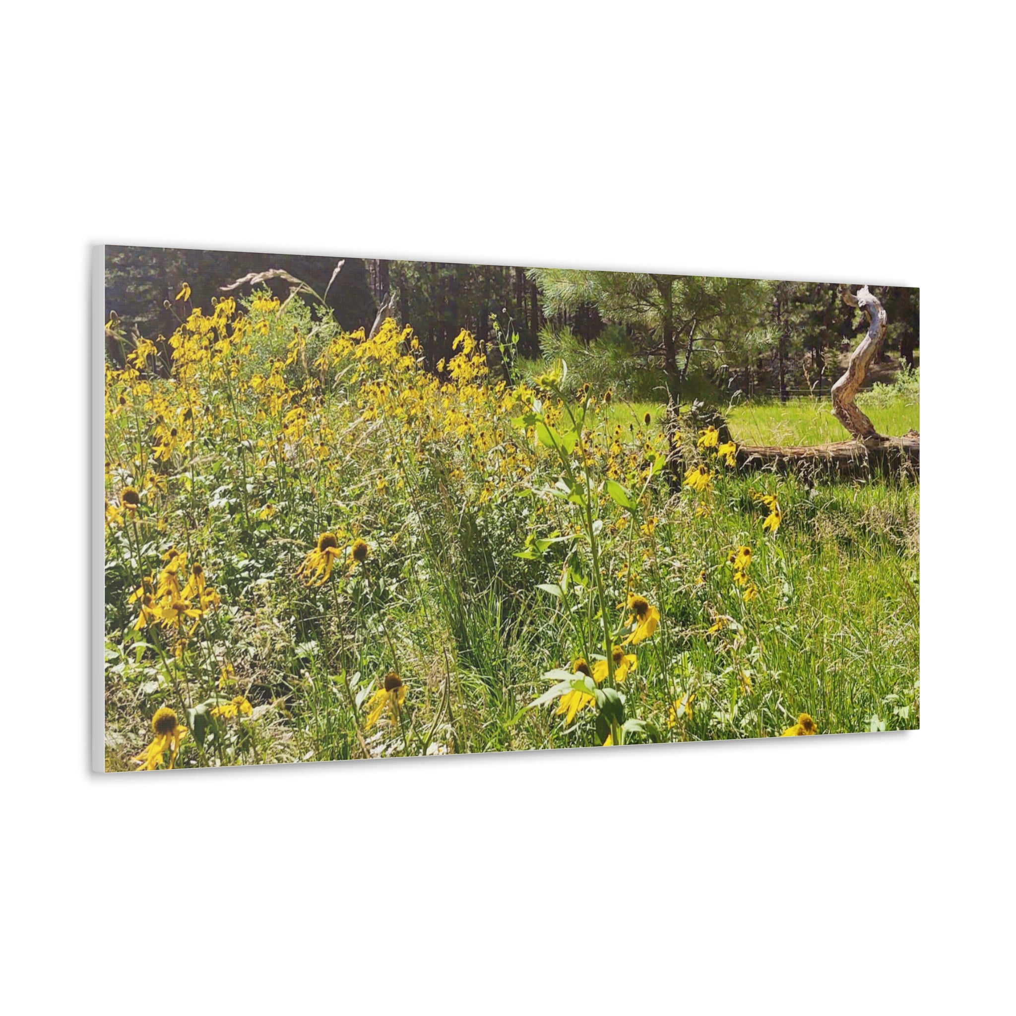 Canvas Wall Art, Nature Photography Decor, Floral Home Decor, Greenery Art Print, Gift for Nature Lovers