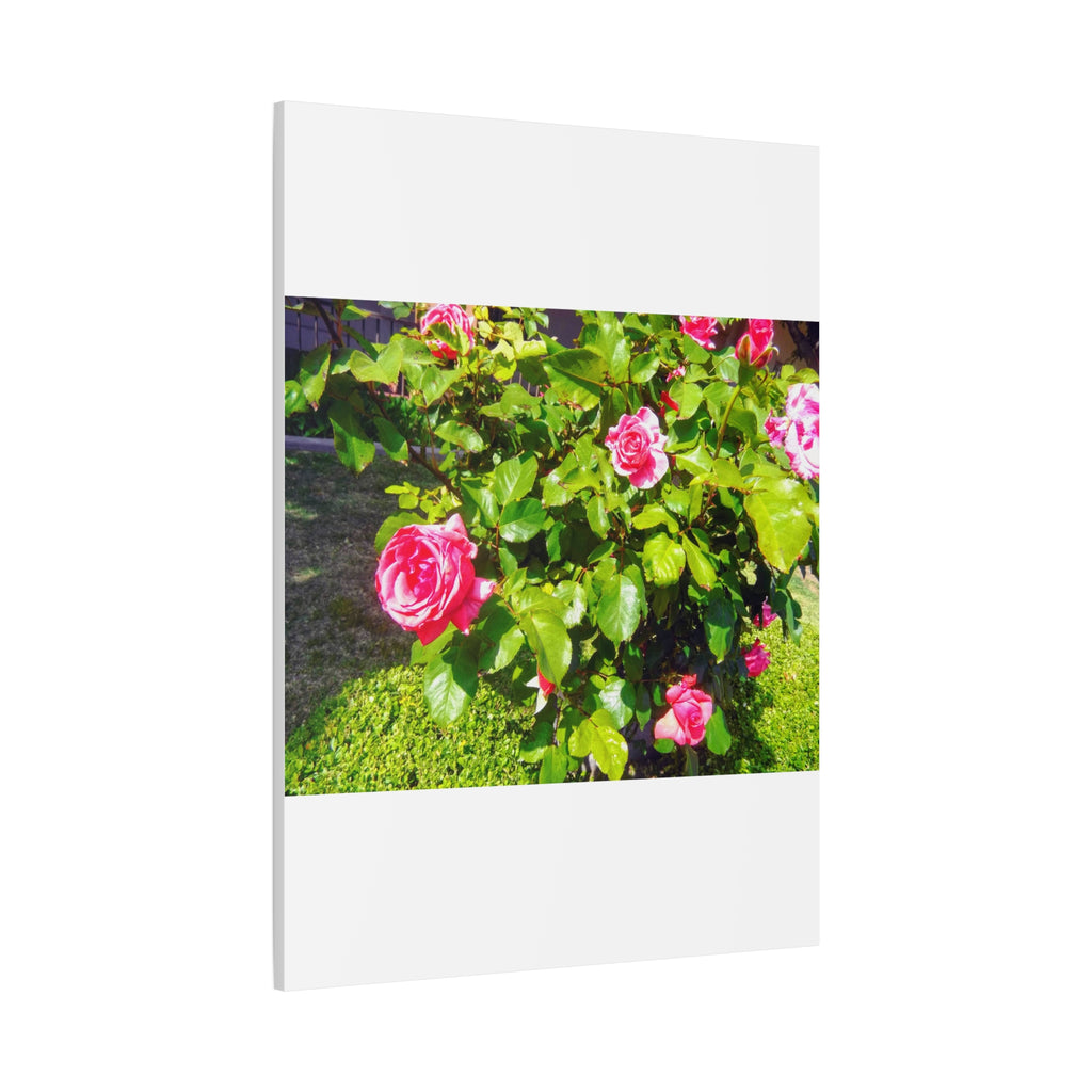 Floral Canvas Wall Art, Pink Rose Decor, Home Gallery Piece, Flower Photography, Garden Wall Decor, Floral Print