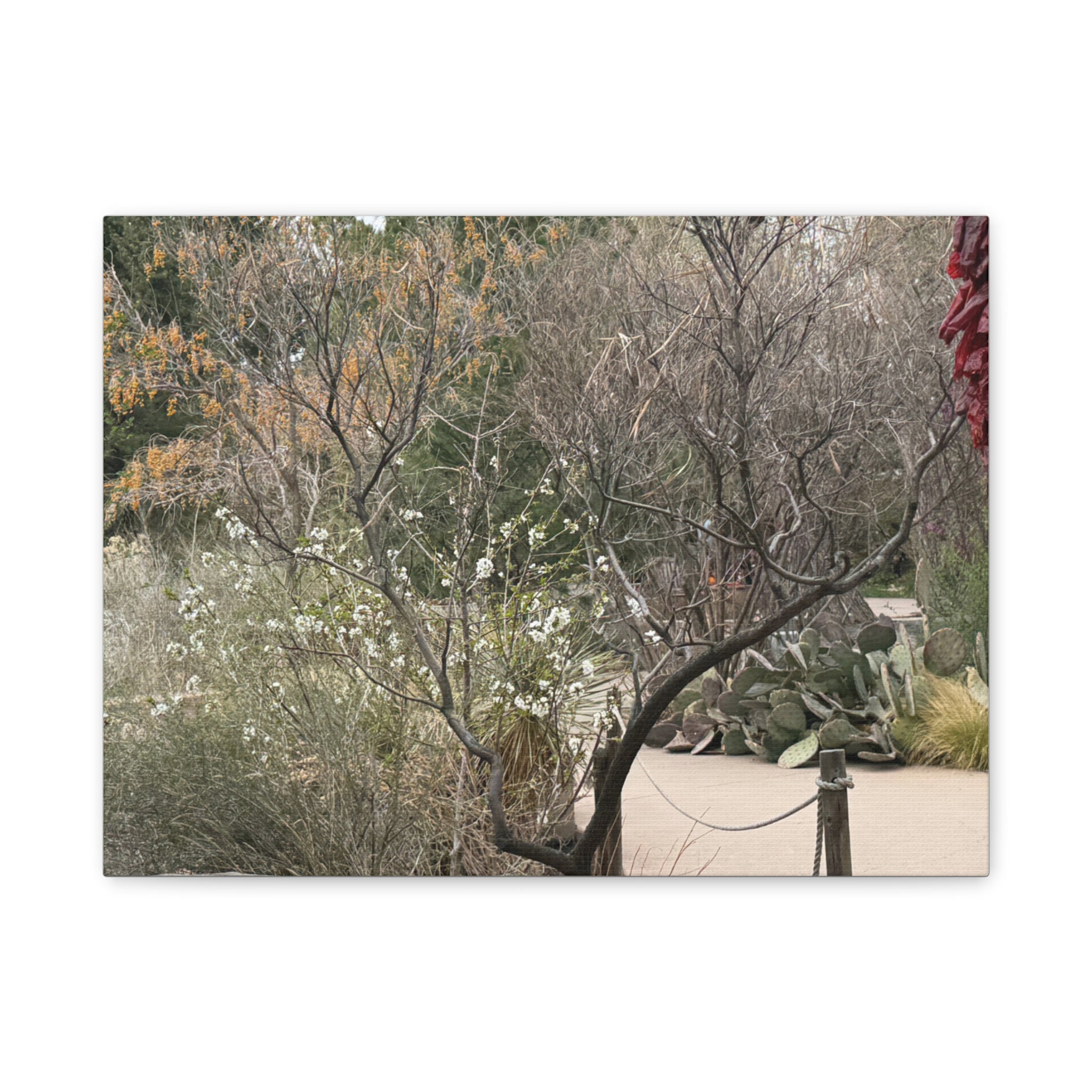 Classic Canvas Art Print, Bohemian Decor, Nature Wall Art, Home Gallery, Rustic Wall Decoration