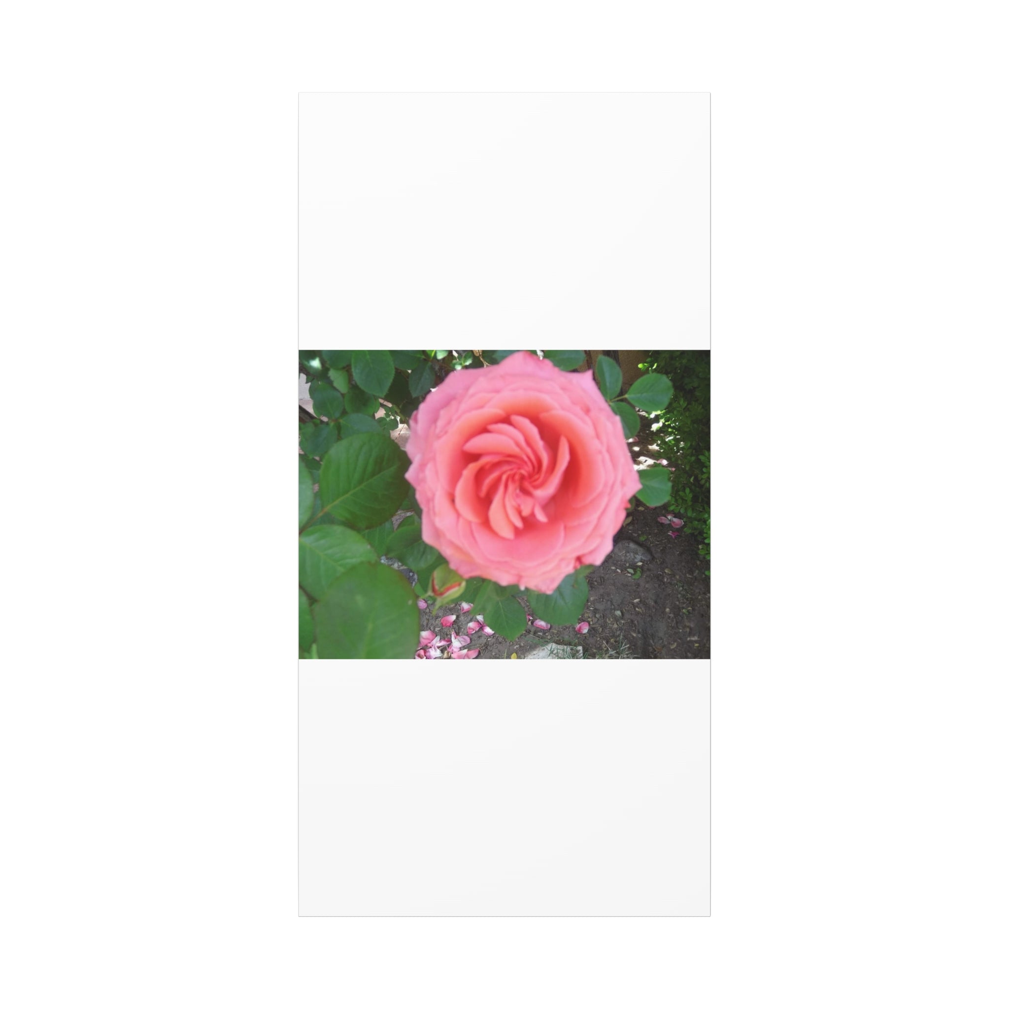 Pink Rose Canvas Wall Art, Floral Decor for Home, Perfect Gift for Nature Lovers, Elegant Wall Hanging, Mother's Day Decoration