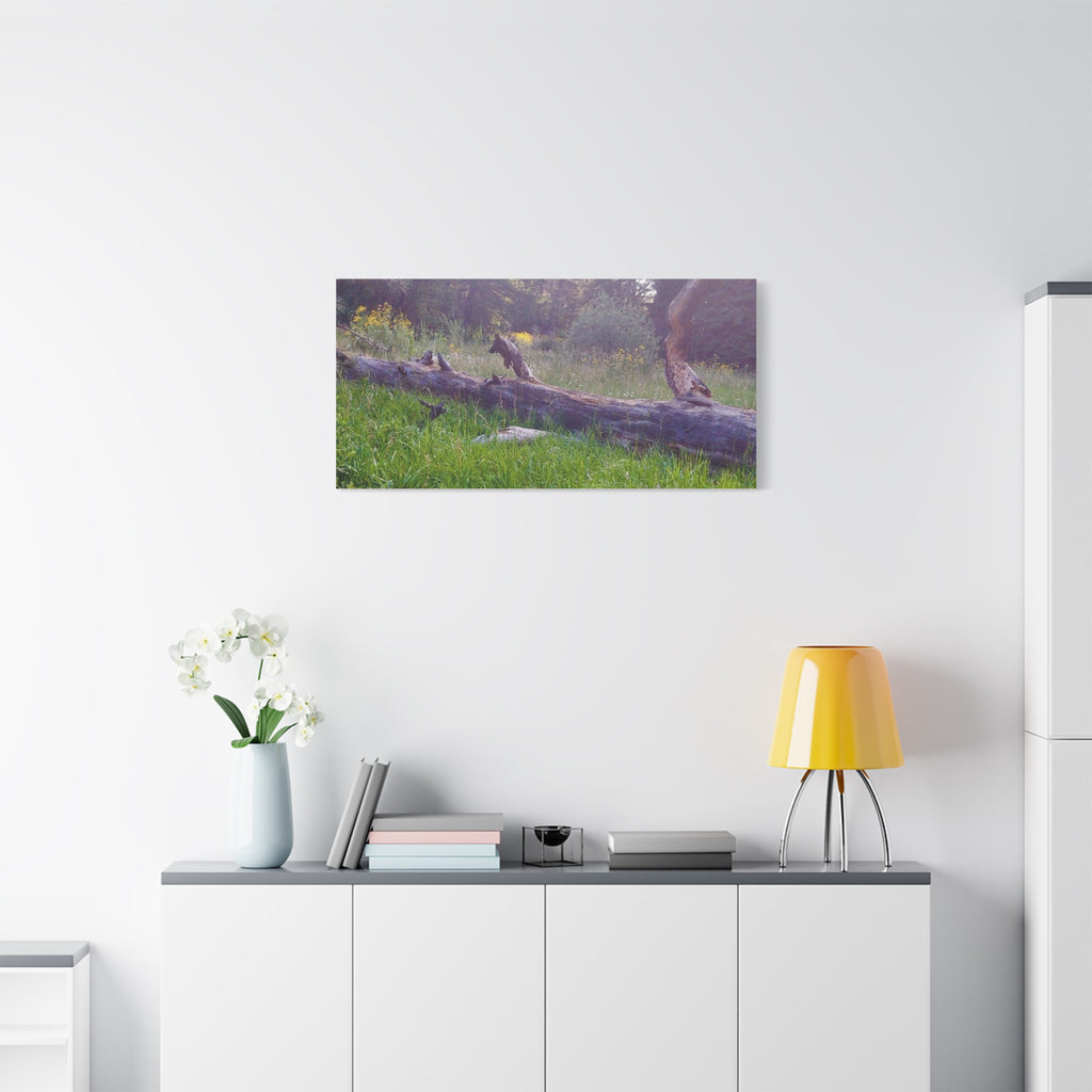 Matte Canvas Wall Art - Serene Nature Scene, Perfect for Home Decor, Gift for Nature Lovers, Office Wall Decoration, Rustic Art Print