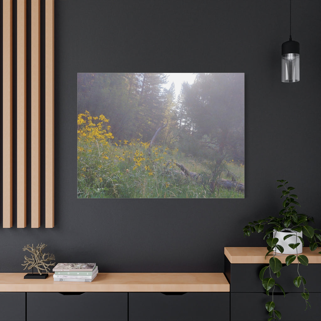 Matte Canvas, Stretched, 1.25"