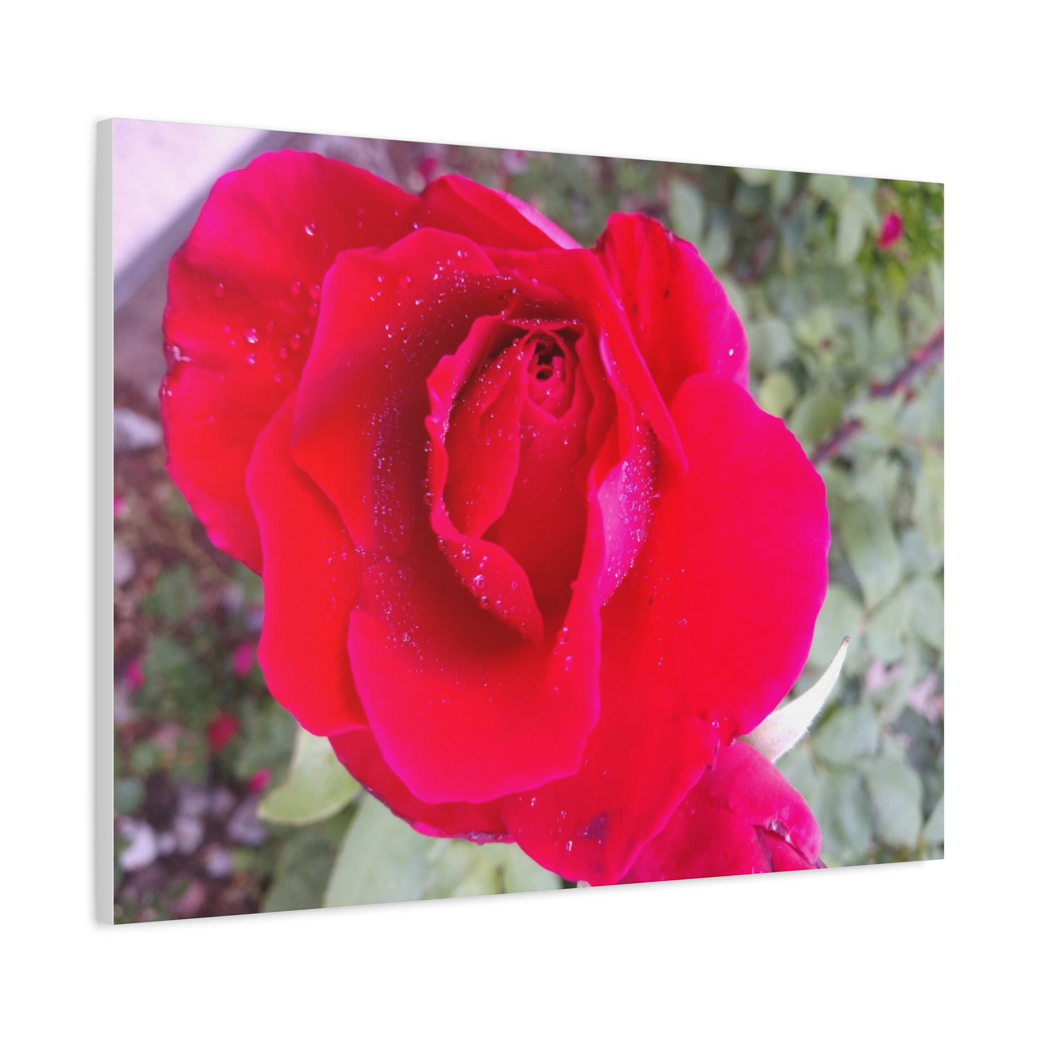 Vibrant Floral Canvas Art, Elegant Wall Decor, Perfect for Home, Gifts, Mother's Day, and Weddings