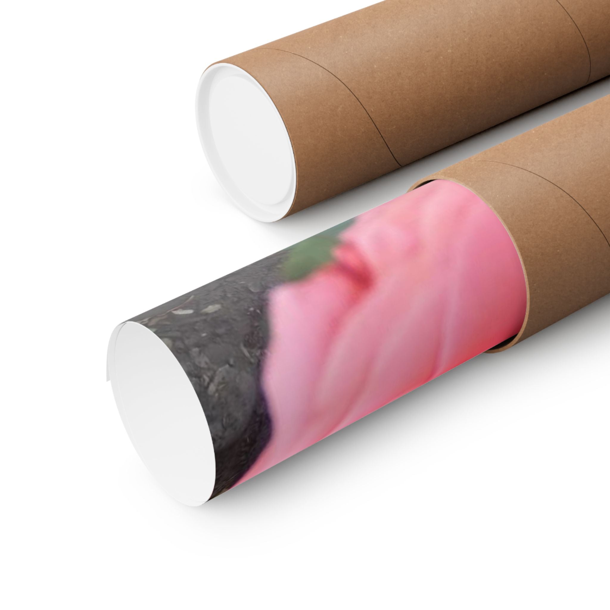 Beautiful Pink Rose Vertical Poster – Floral Wall Art, Home Decor, Gift for Her, Botanical Print, Mother's Day Decoration