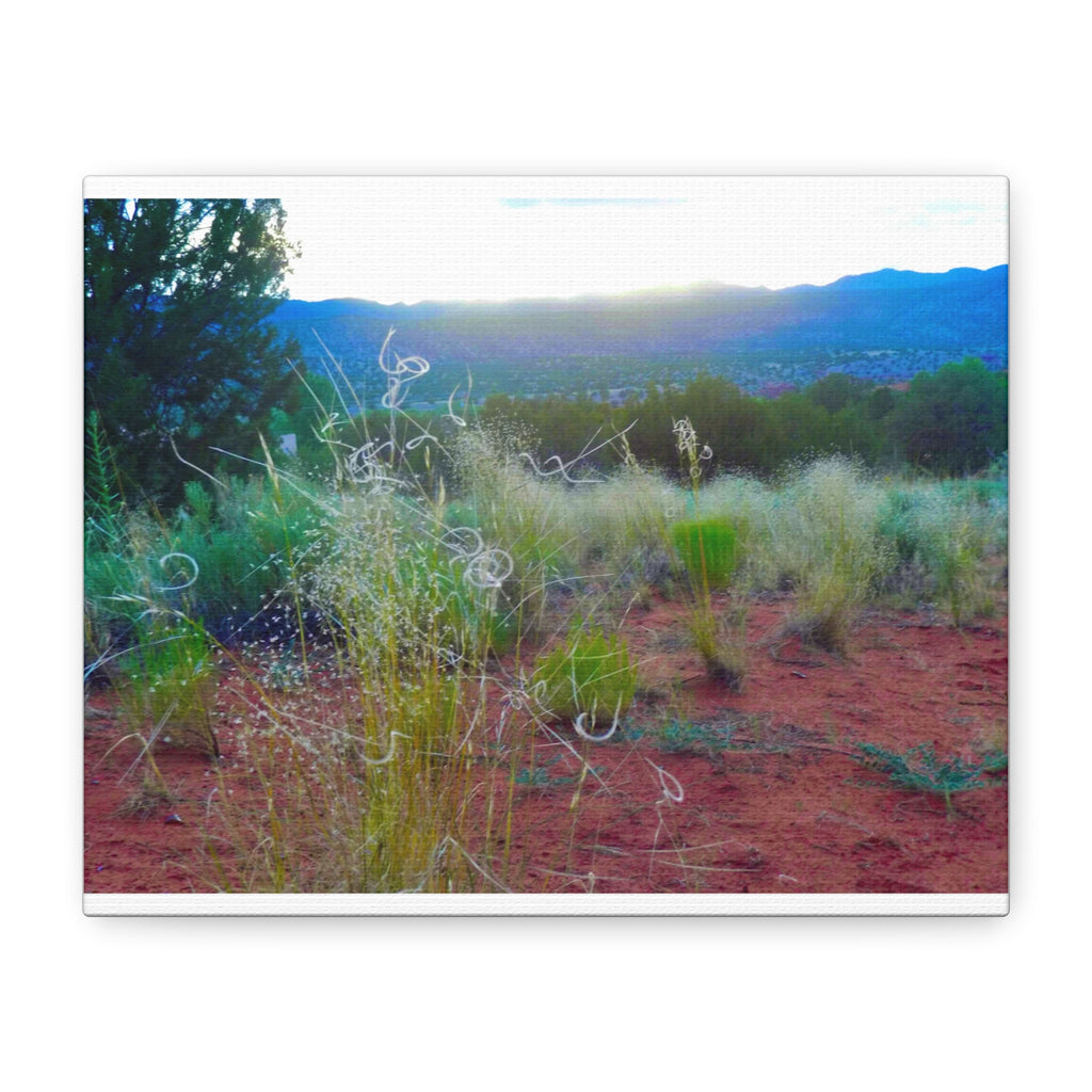 Stretched Canvas Art Print, Nature Wall Decor, Boho Home Decor, Rustic Landscape Art, Gift for Nature Lovers