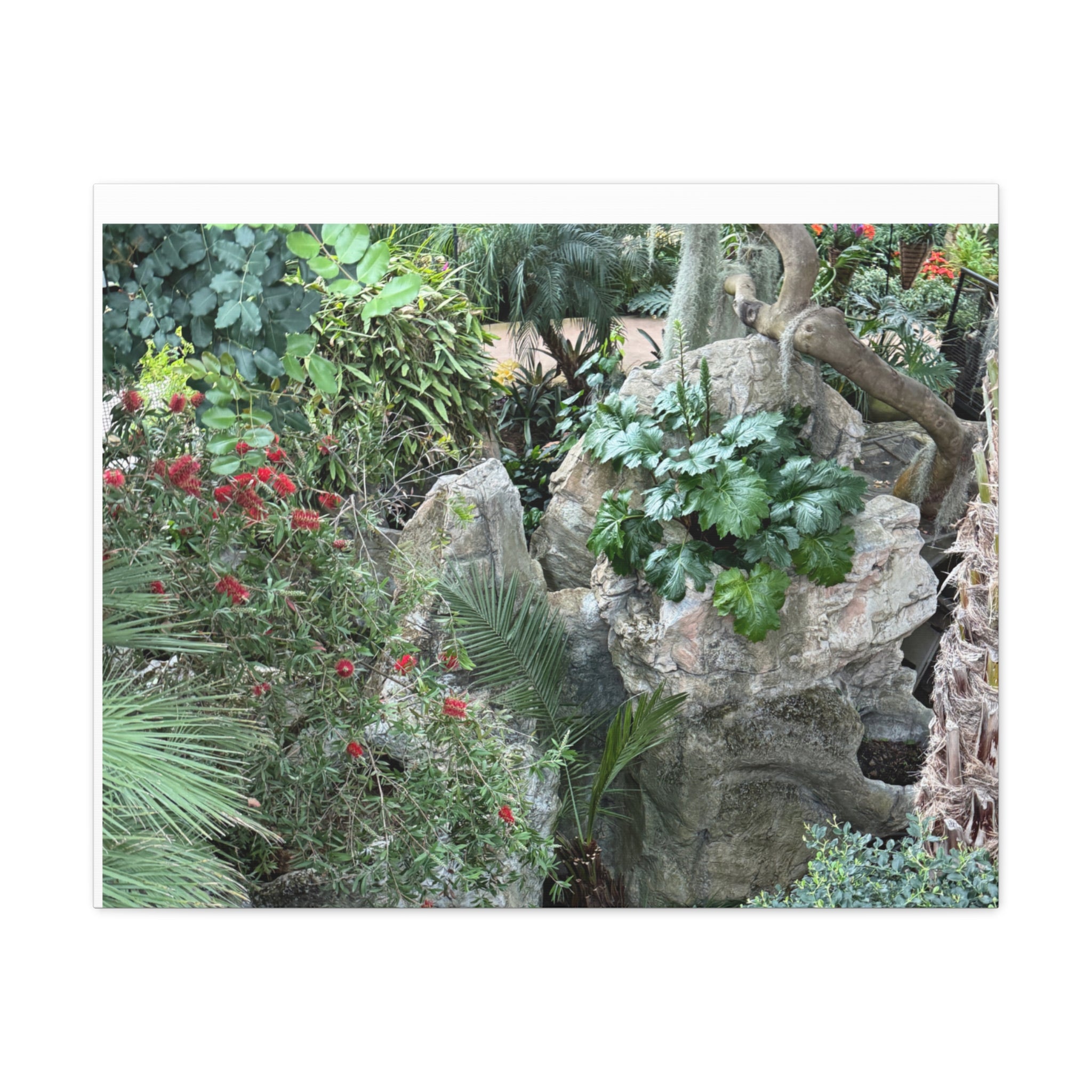 Nature-Inspired Wall Art, Canvas Print, Botanical Decor for Home, Greenery Art, Gift for Nature Lovers, Eco-Friendly Decoration