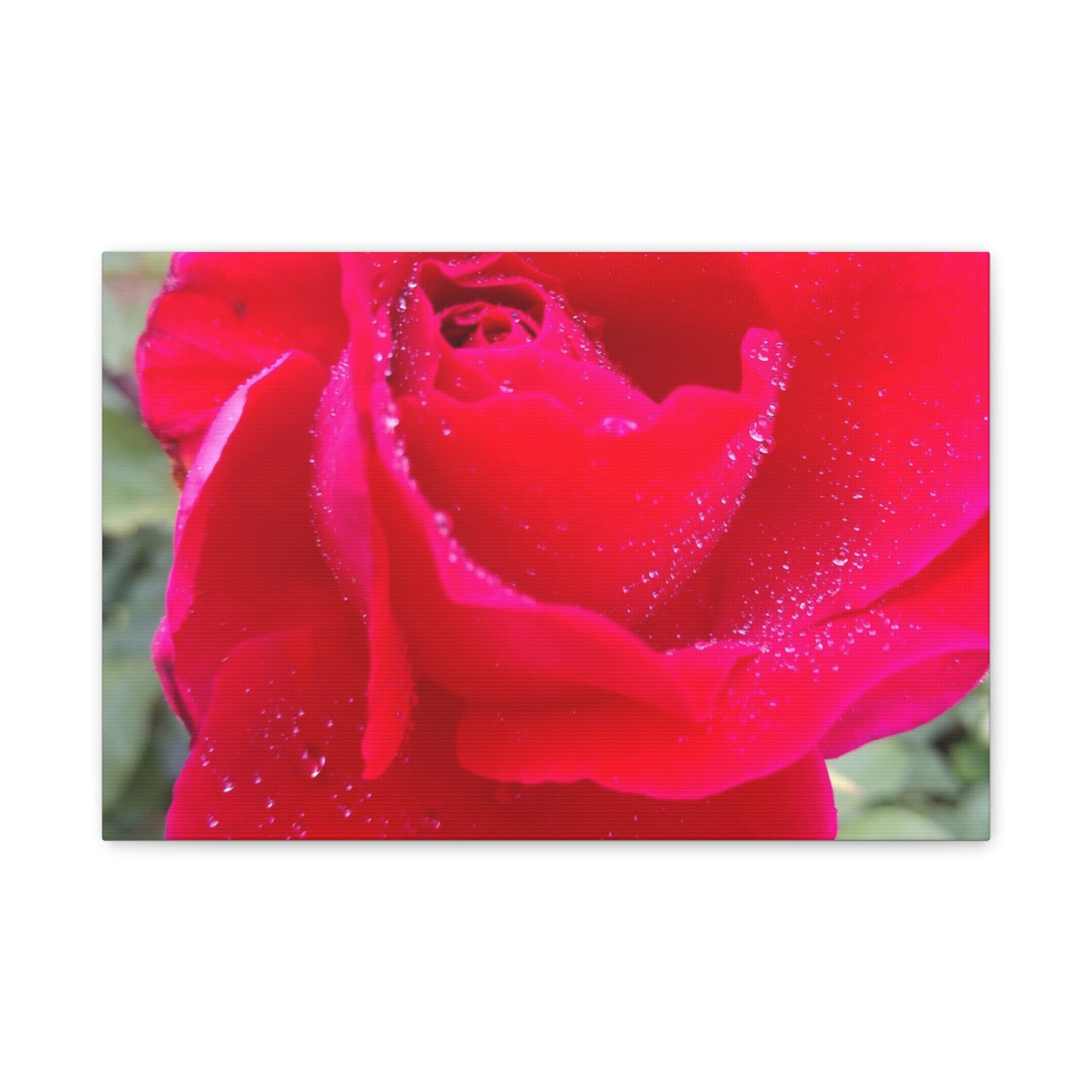 Stunning Floral Canvas Print, Home Decor, Wall Art, Gift for Flower Lovers, Red Rose Art, Mother's Day Gift