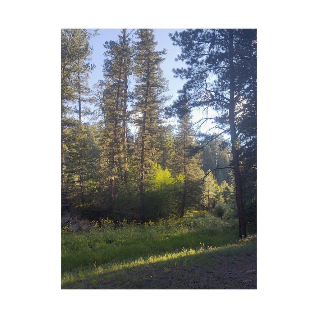 Nature-Inspired Matte Vertical Posters, Forest Wall Art, Home Décor, Greenery Prints, Gifts for Nature Lovers, Nature Photography