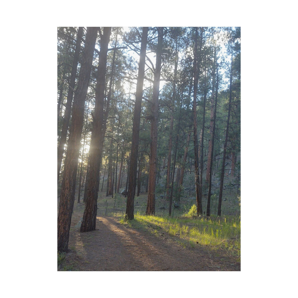 Serene Nature Matte Vertical Posters, Forest Wall Art, Home Decor, Gift Idea, Nature Lover's Decor, Inspirational Art Print