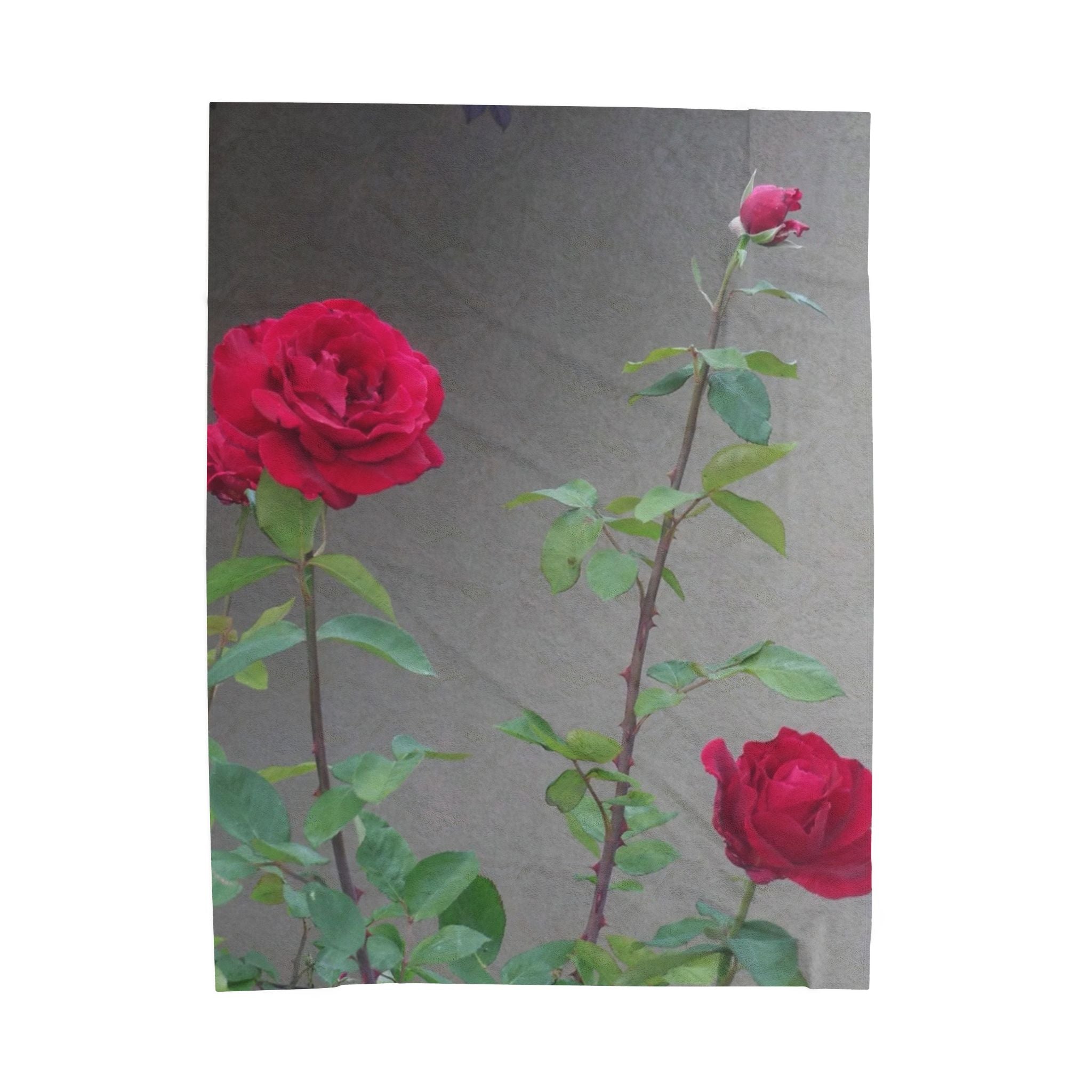 Cozy Floral Velveteen Plush Blanket | Soft Throw | Home Decor | Gift for Her, Valentine's Day, Anniversary, Wedding