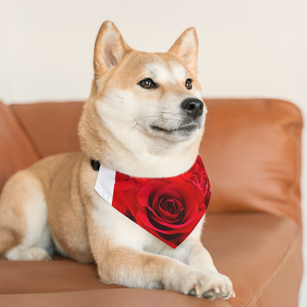 Stylish Floral Pet Bandana, Dog Accessory for Fashion-Forward Pets, Perfect for Walks, Gifts, Pet Birthday, Mother's Day, Rose Design