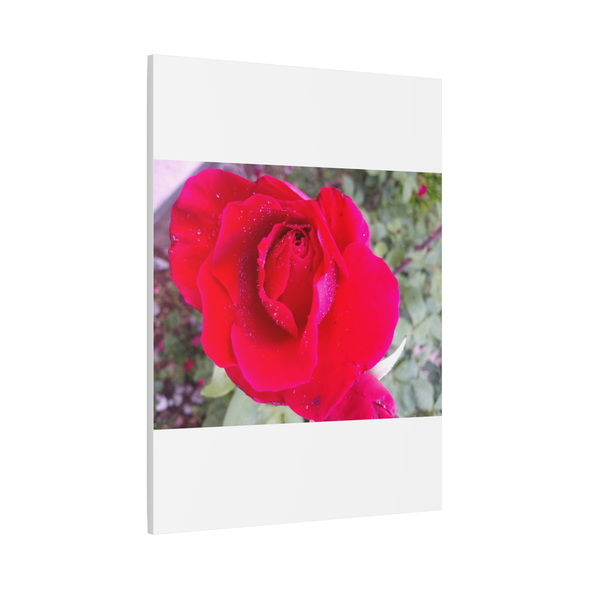Vibrant Floral Canvas Art, Elegant Wall Decor, Perfect for Home, Gifts, Mother's Day, and Weddings