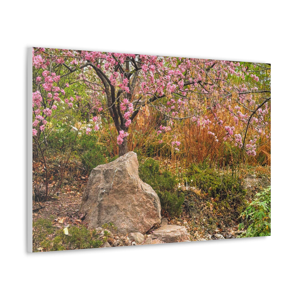 Canvas Wall Art, Pink Blossom Landscape Decor, Nature Photograph, Floral Print, Spring Home Decor, Gift for Nature Lovers