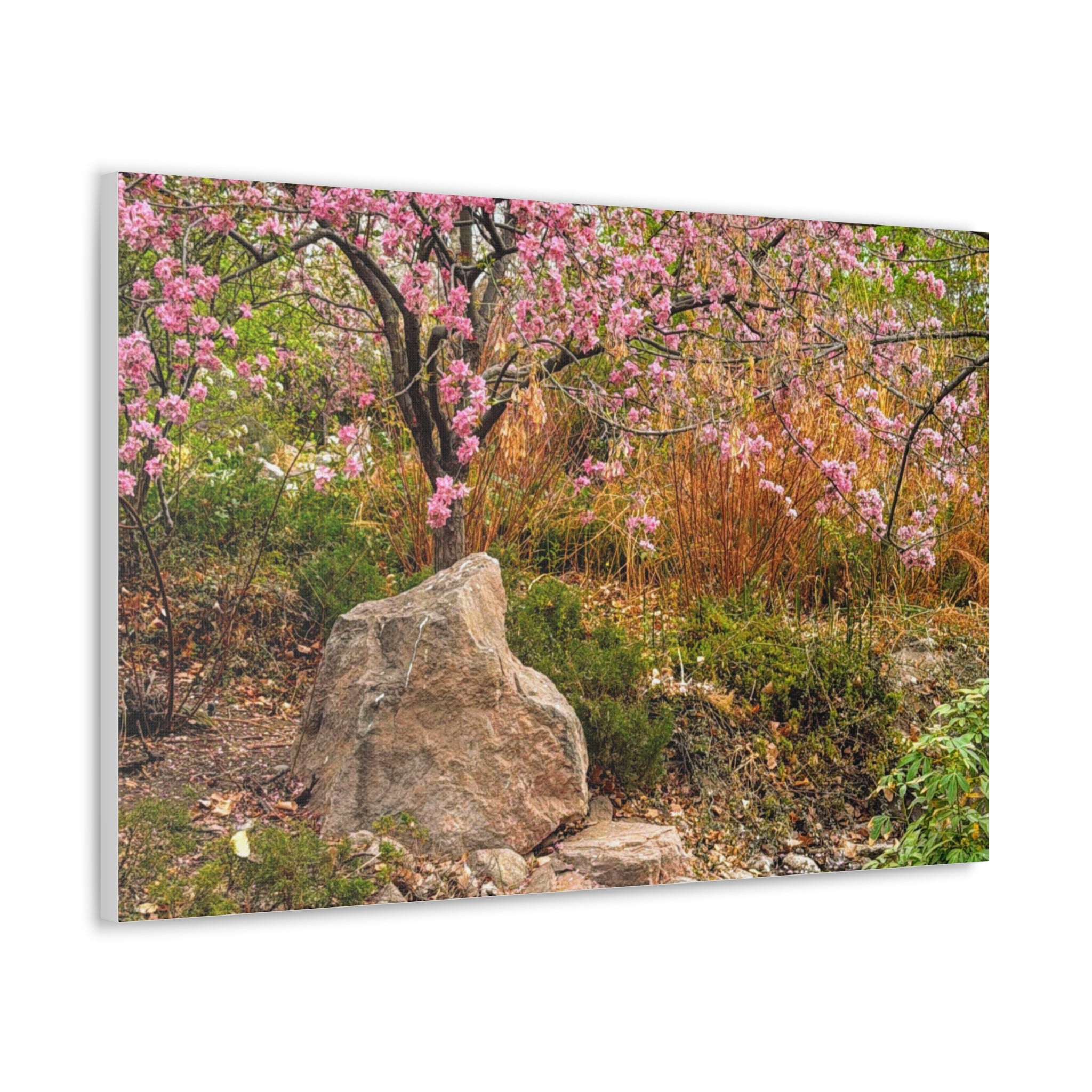 Canvas Wall Art, Pink Blossom Landscape Decor, Nature Photograph, Floral Print, Spring Home Decor, Gift for Nature Lovers
