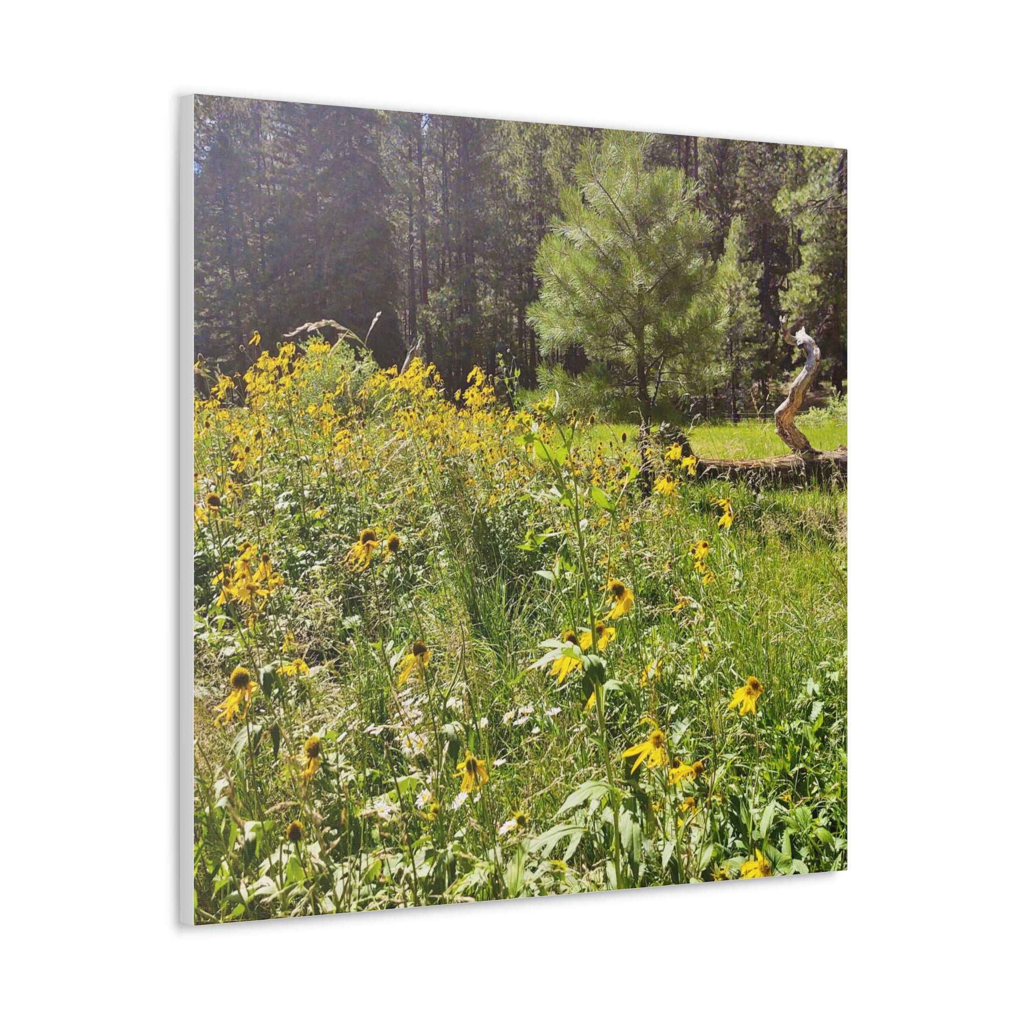 Canvas Wall Art, Nature Photography Decor, Floral Home Decor, Greenery Art Print, Gift for Nature Lovers