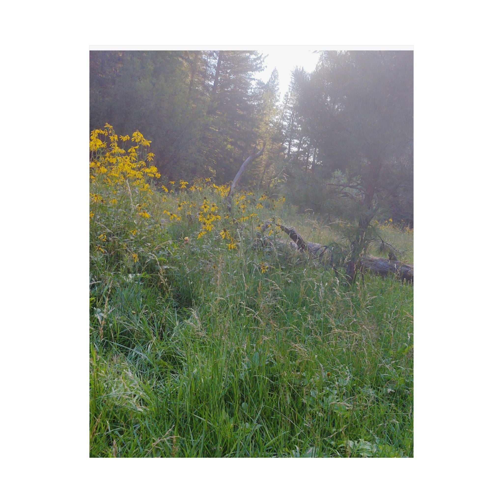 Nature-Inspired Matte Vertical Posters, Floral Art Print, Wall Decor, Home Aesthetic, Cottage Core Decor, Boho Wall Art