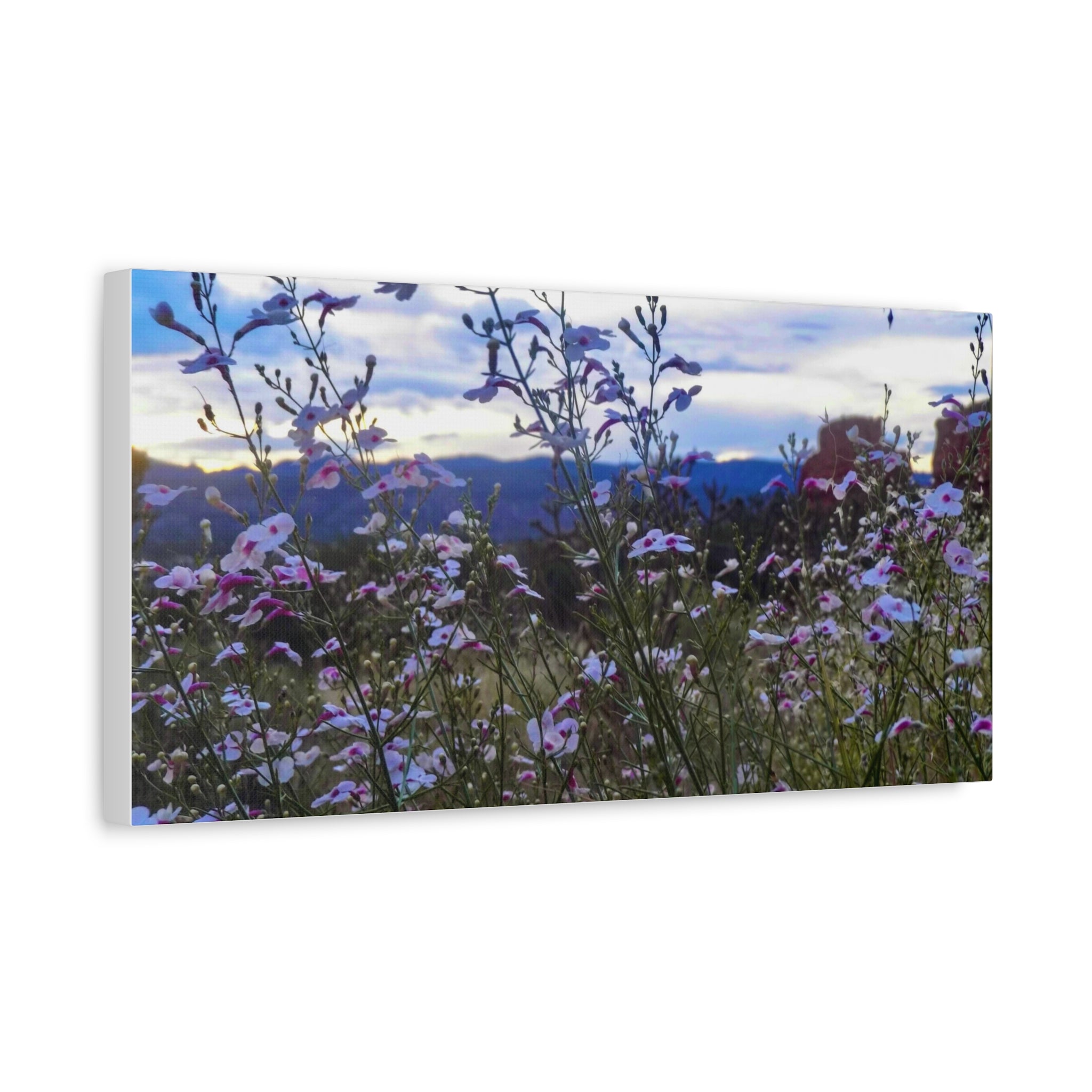 Floral Wall Art Canvas, Nature-Inspired Home Decor, Flower Print, Rustic Living Room, Gift for Gardeners, Boho Wall Art