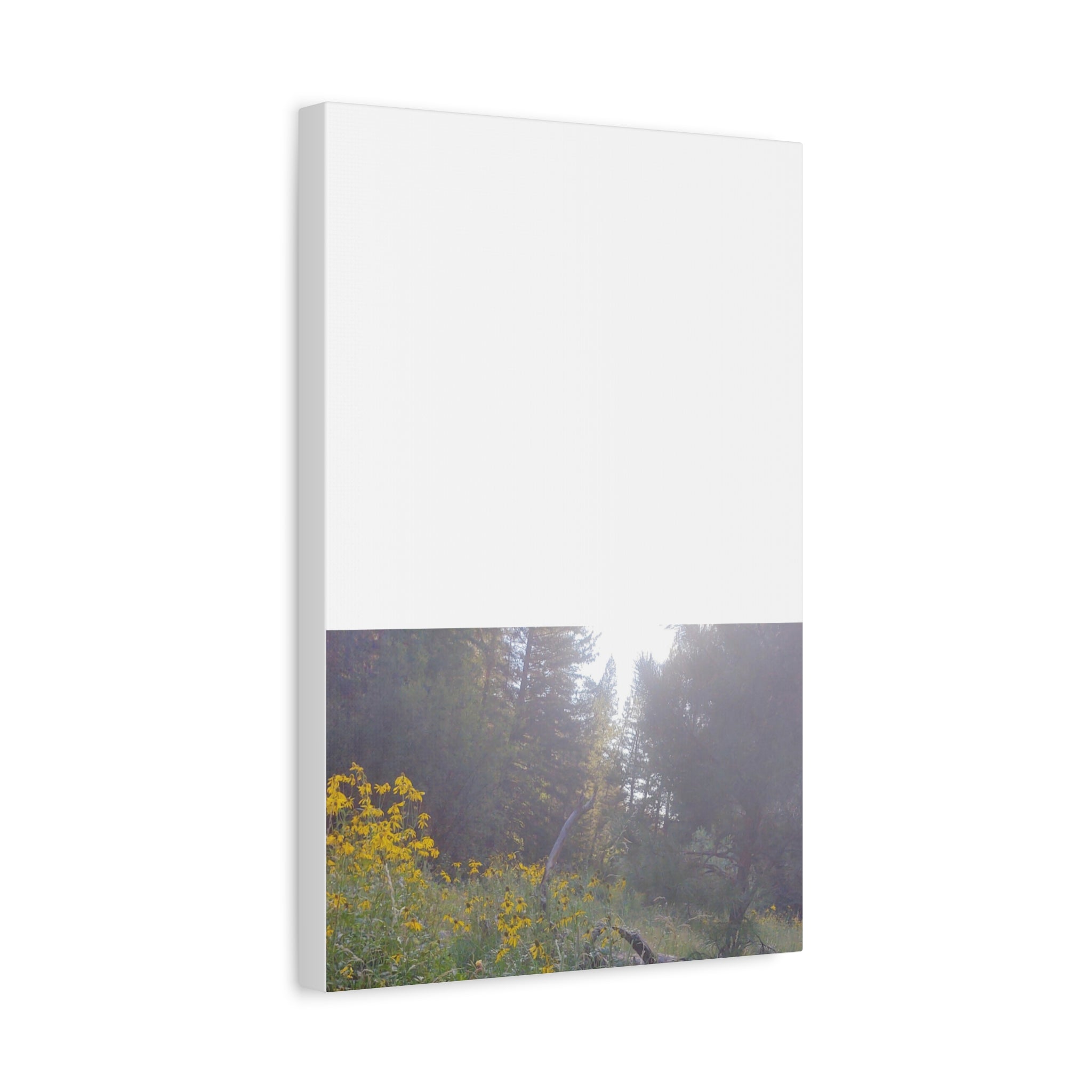 Matte Canvas, Stretched, 1.25"