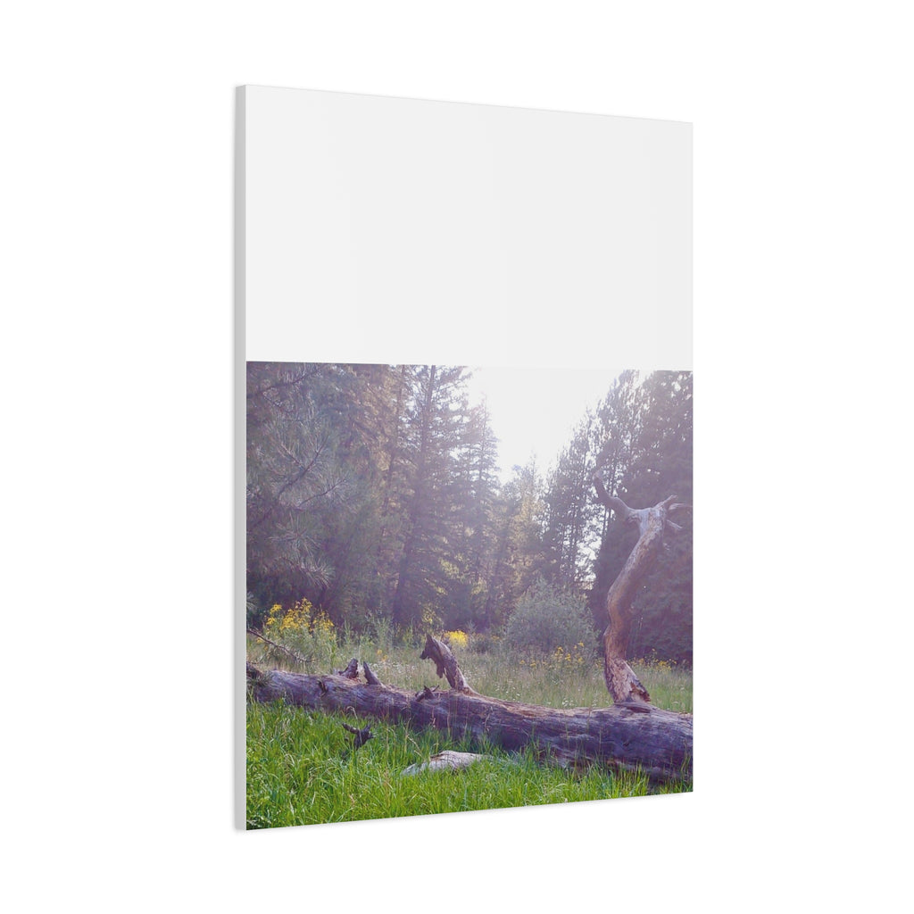 Matte Canvas Wall Art - Serene Nature Scene, Perfect for Home Decor, Gift for Nature Lovers, Office Wall Decoration, Rustic Art Print