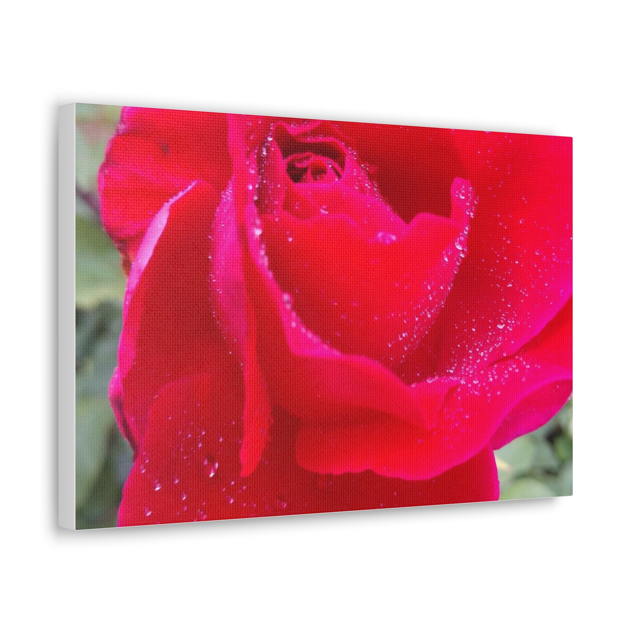 Stunning Floral Canvas Print, Home Decor, Wall Art, Gift for Flower Lovers, Red Rose Art, Mother's Day Gift