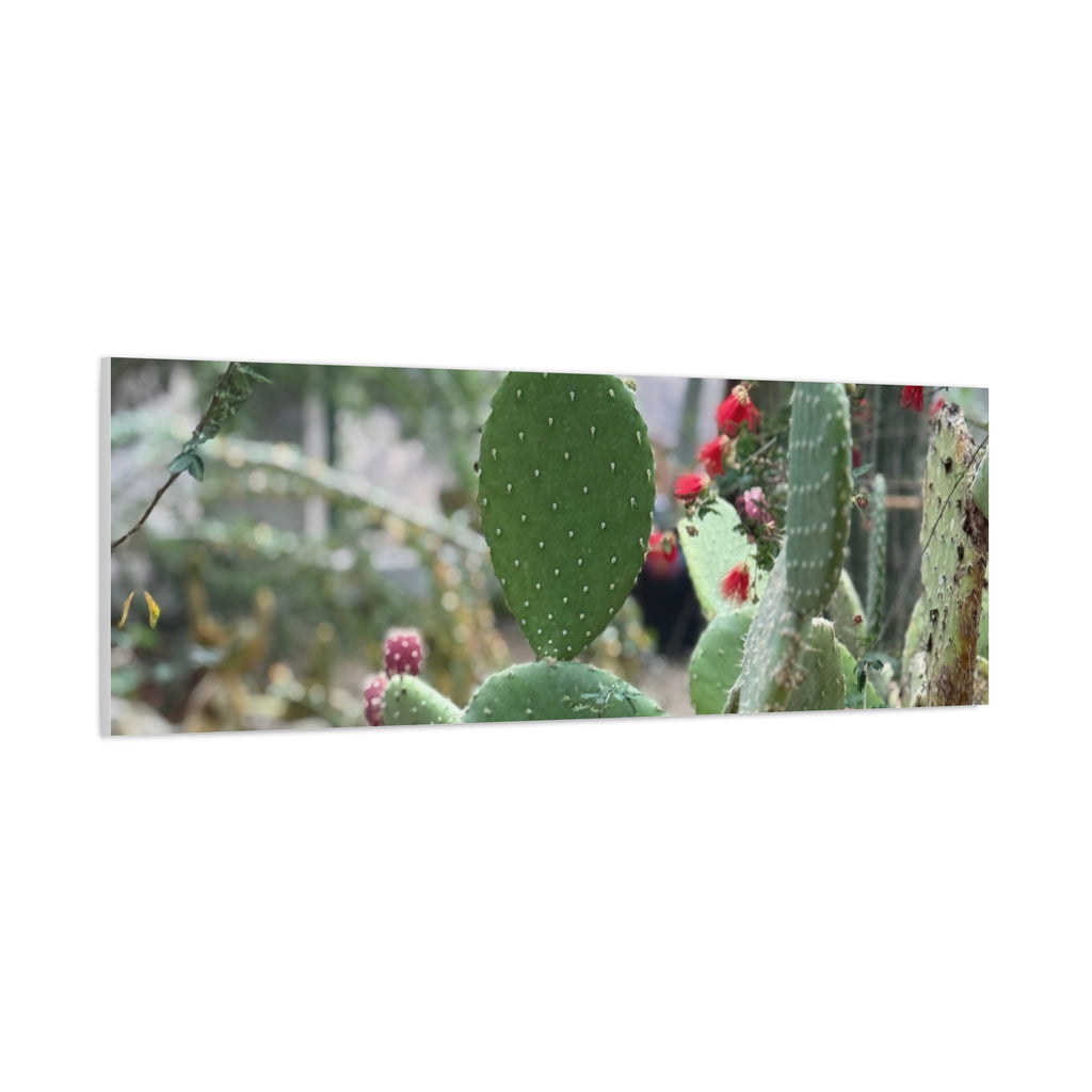 Cactus Matte Canvas Wall Art, Nature Decor, Southwestern Room Design, Green Plant Prints, Home and Office Wall Decor