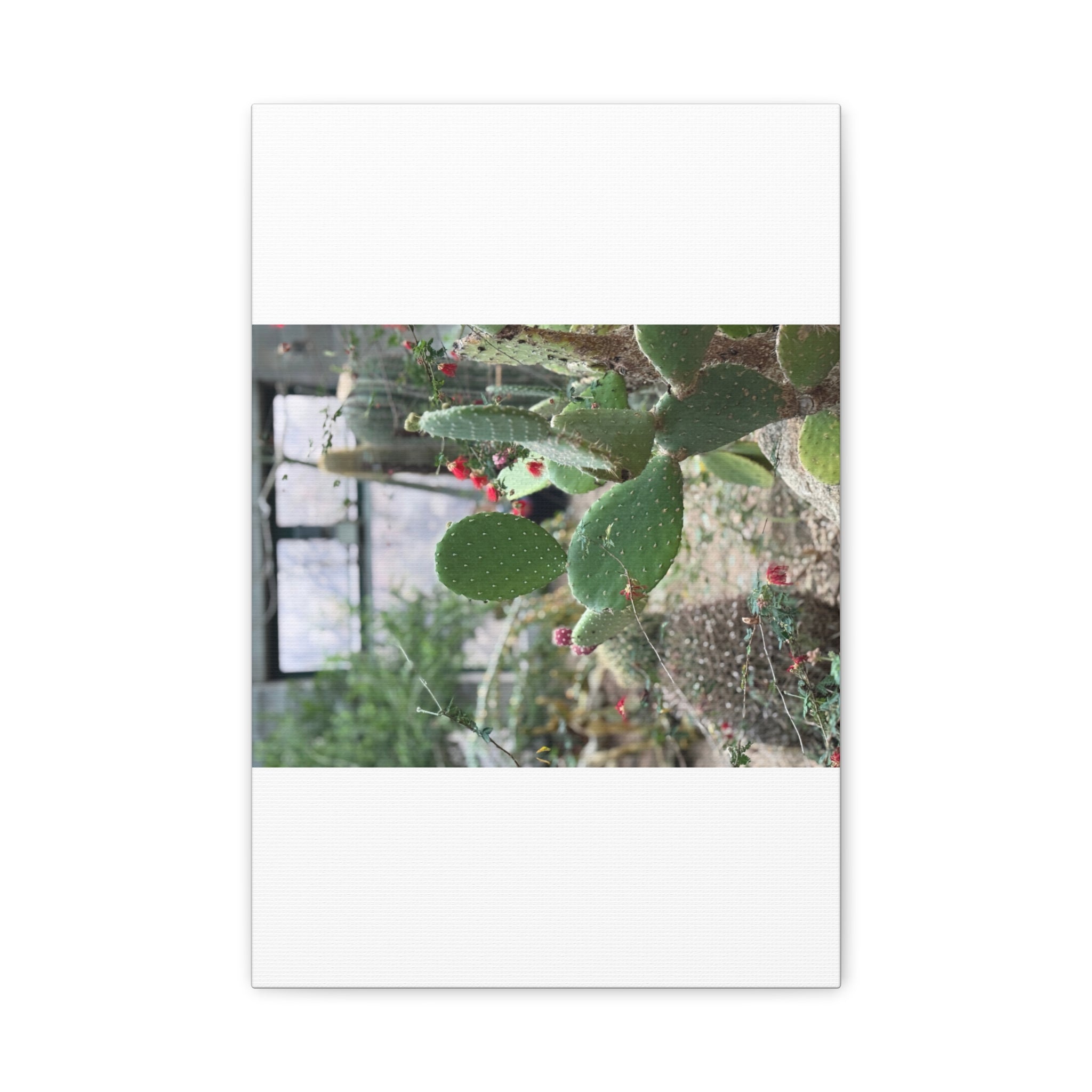 Cactus Wall Art Canvas Print, Nature Décor for Home, Office, Gift for Cactus Lovers, Unique Plant Themed Artwork, Desert Vibe Decor